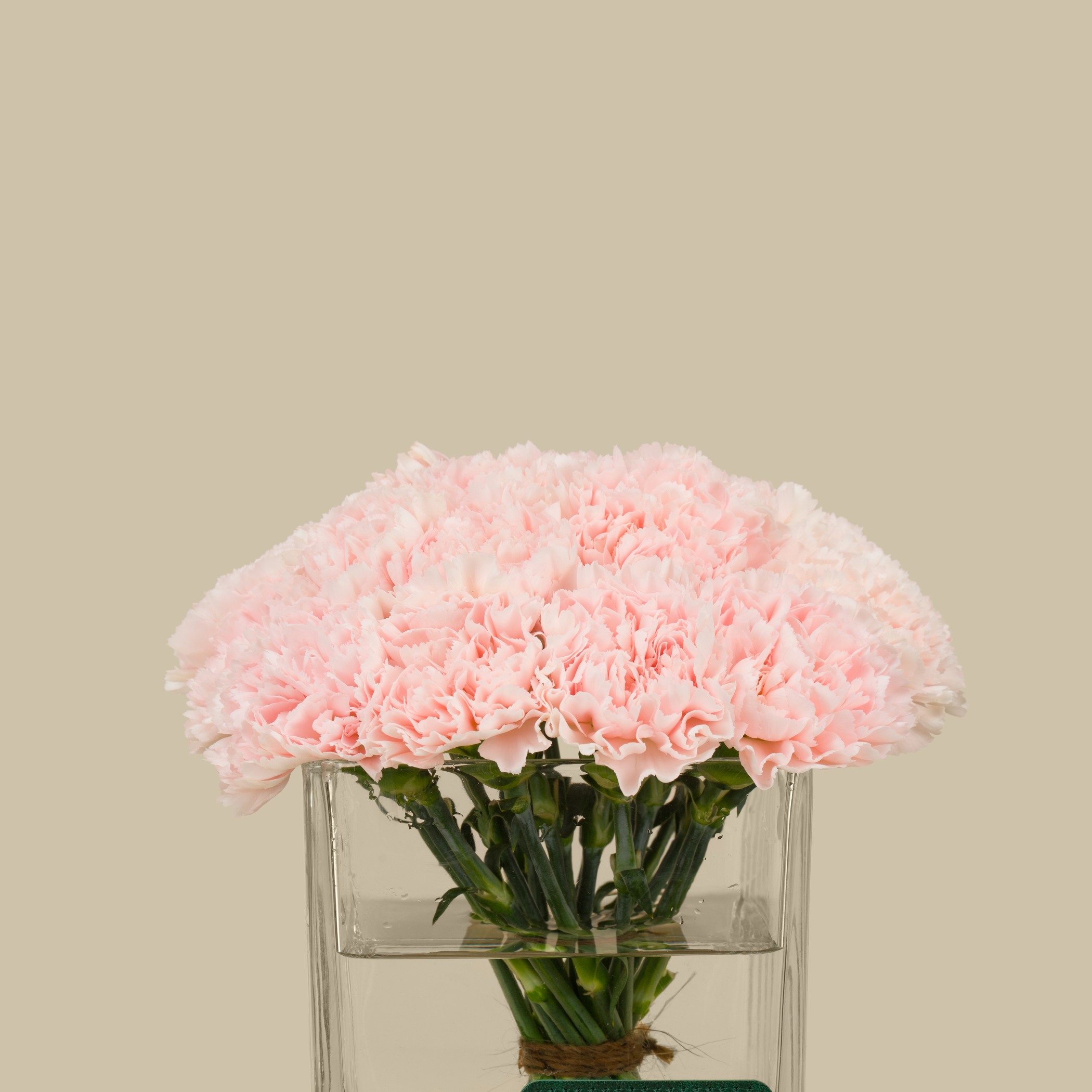 Blooms Legend Square Vase Blooms Legend Square Vase
