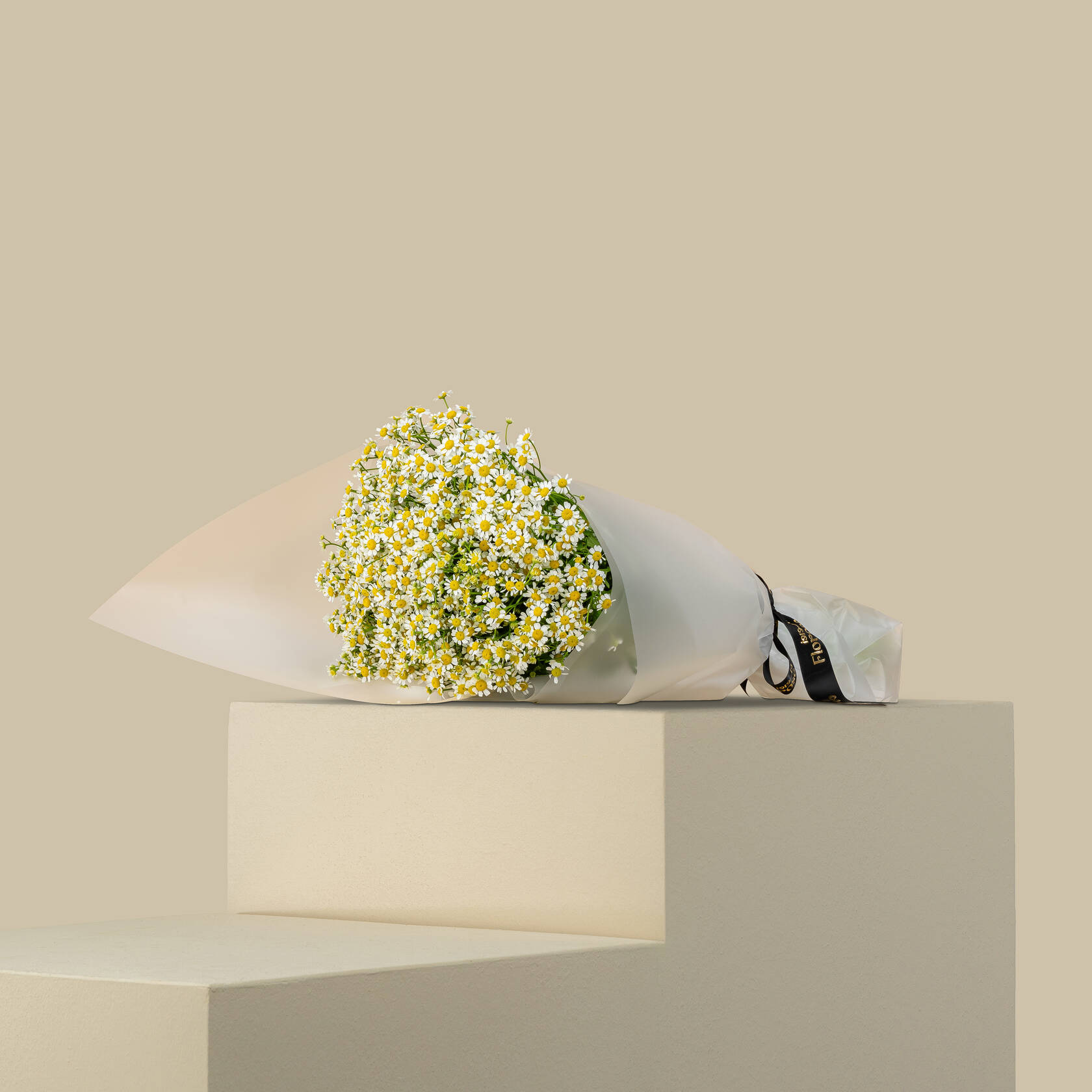Tanacetum Bouquet Tanacetum Bouquet