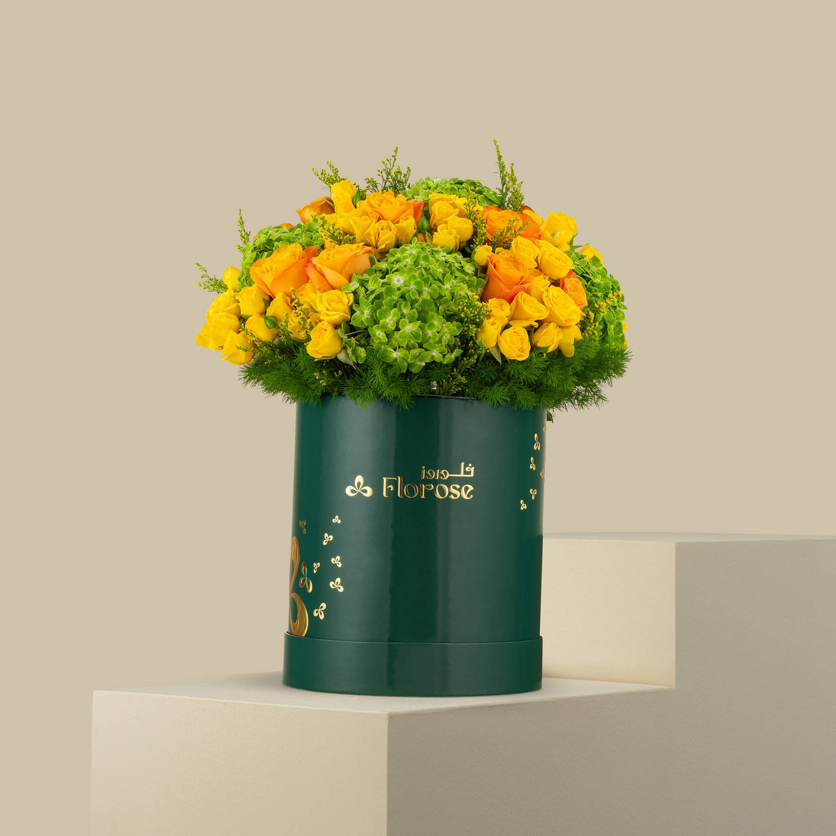 صندوق البتلات المشرقة صندوق البتلات المشرقة
