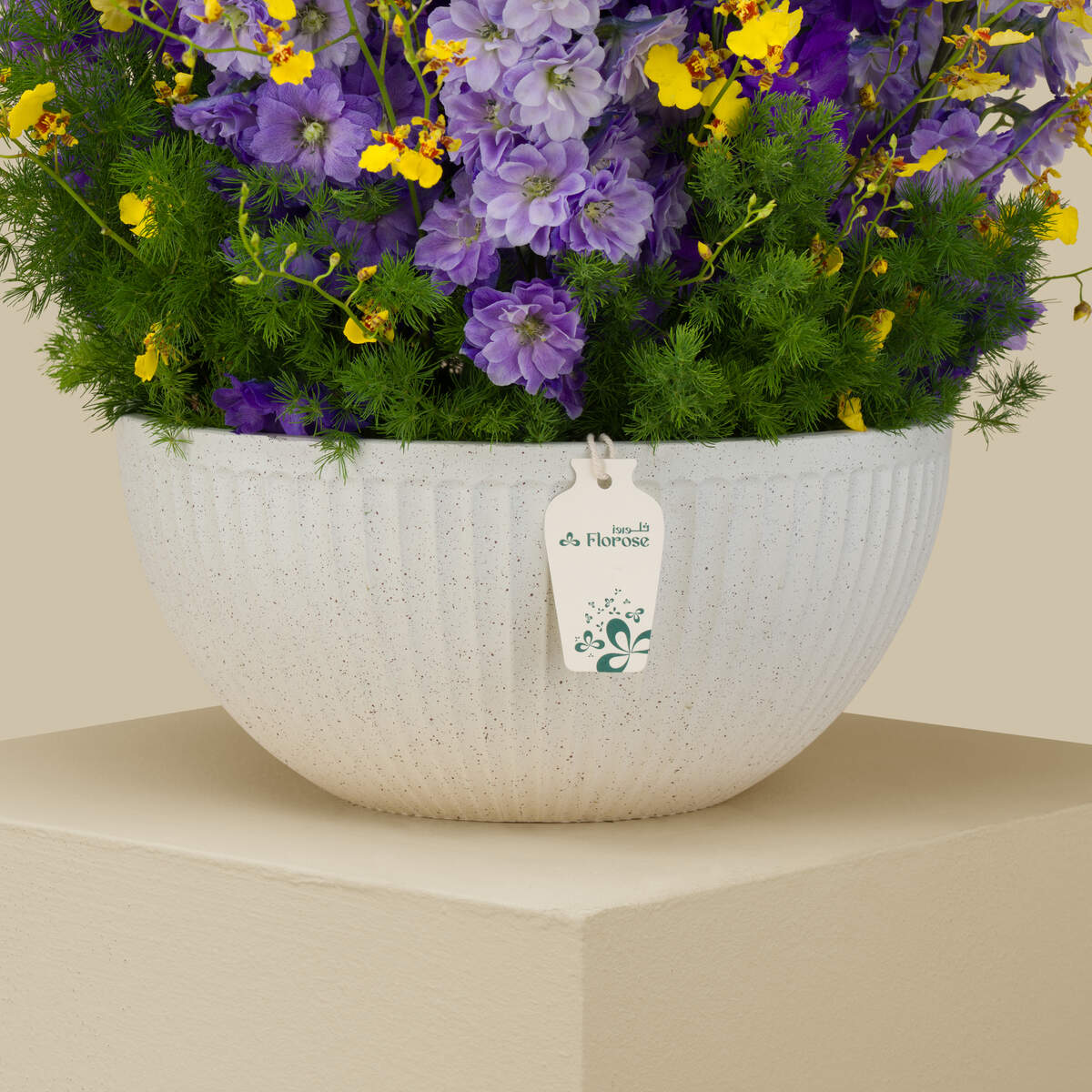 Violet Oasis Premium Vase Violet Oasis Premium Vase
