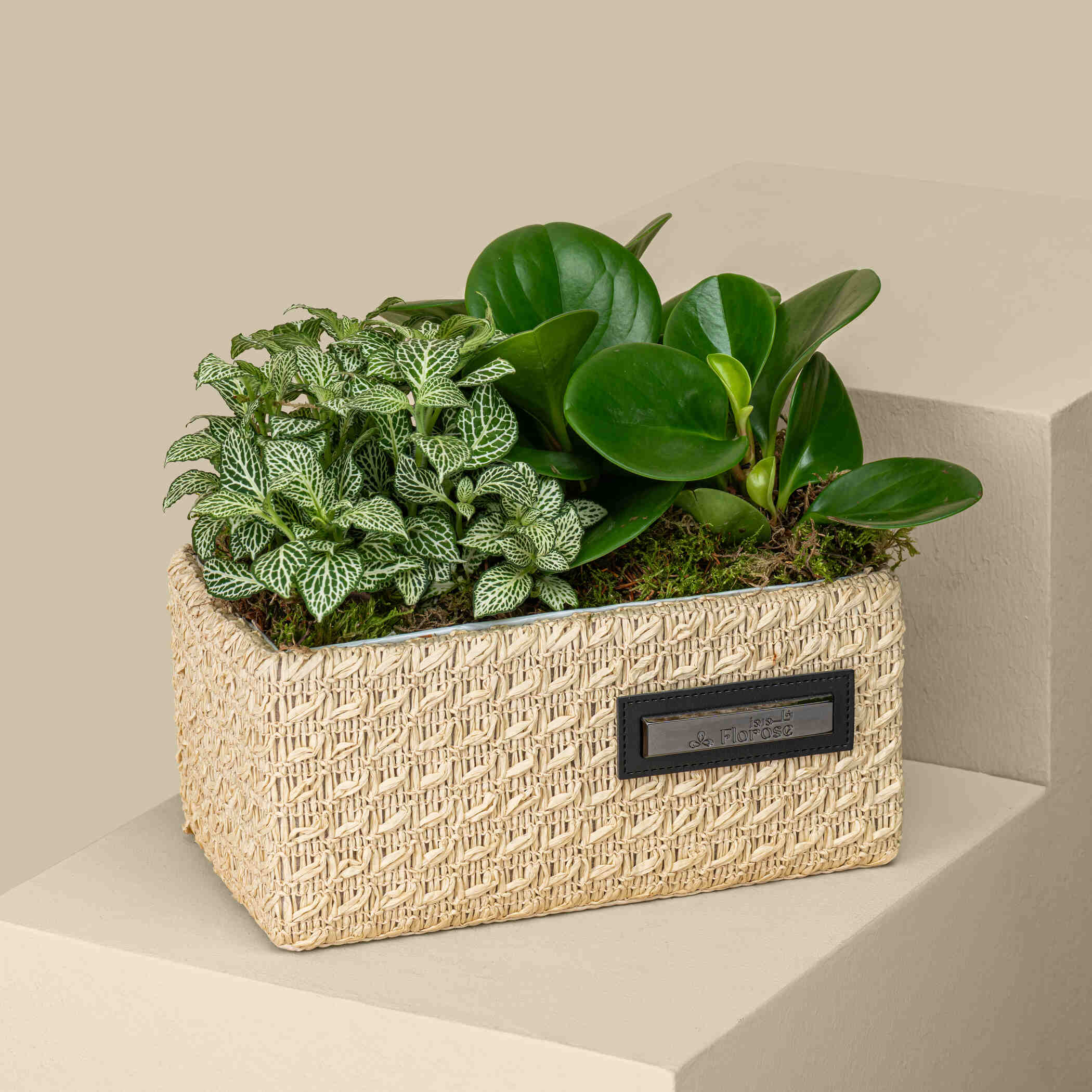 Radiant Green Basket Radiant Green Basket