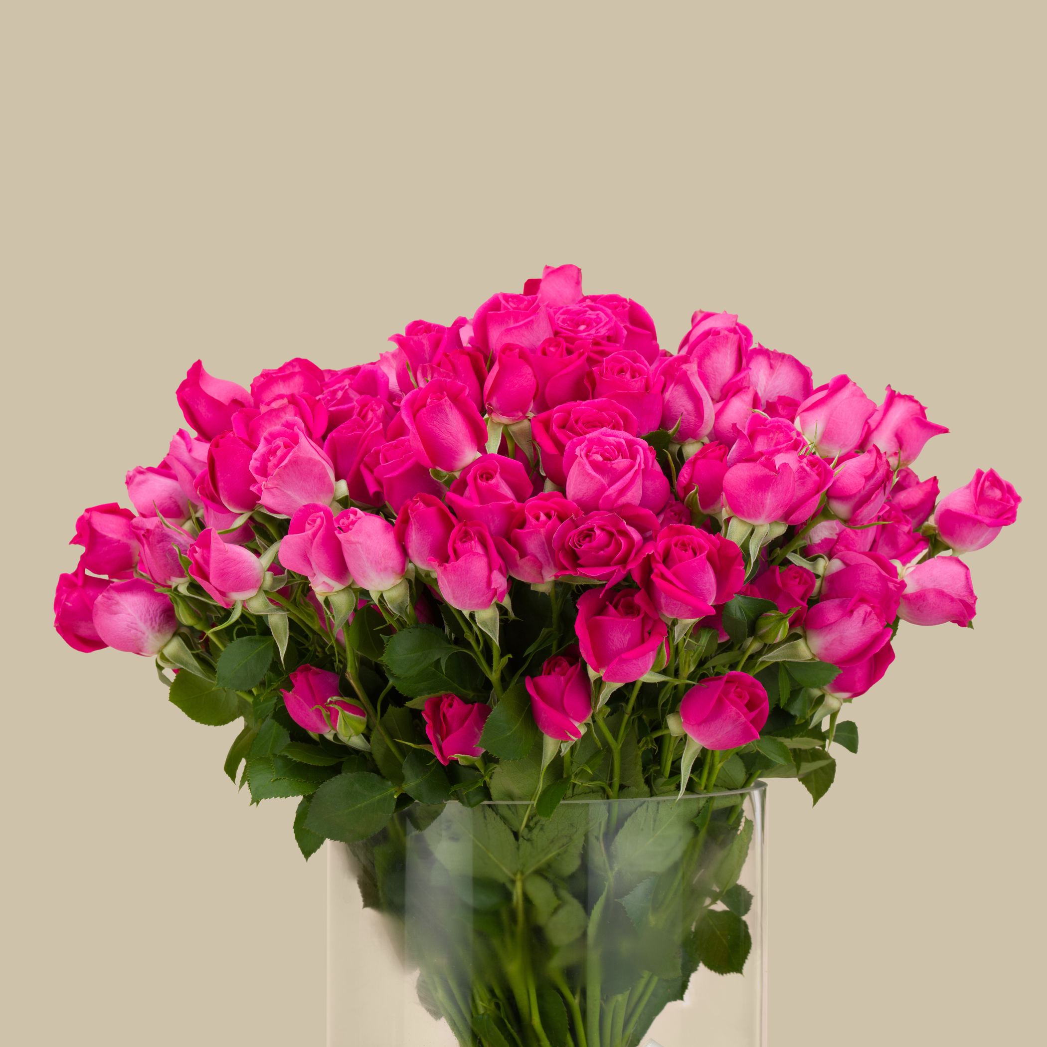 Delicate Spray Rose Vase Fuchsia | 30 Flowers Delicate Spray Rose Vase Fuchsia | 30 Flowers