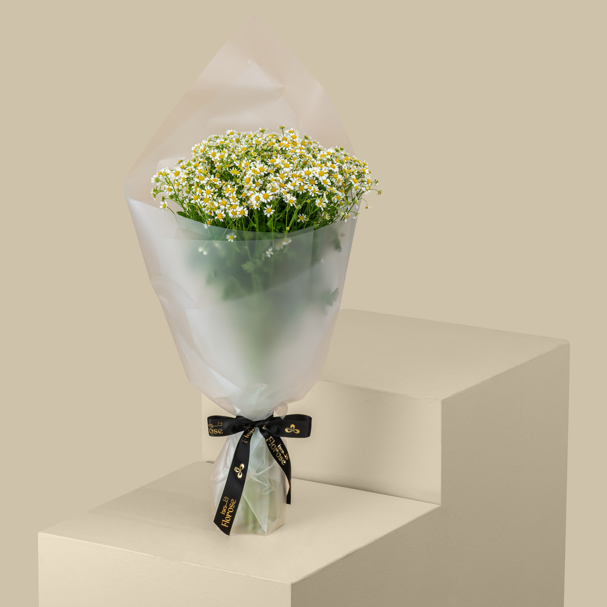 Tanacetum Bouquet Tanacetum Bouquet