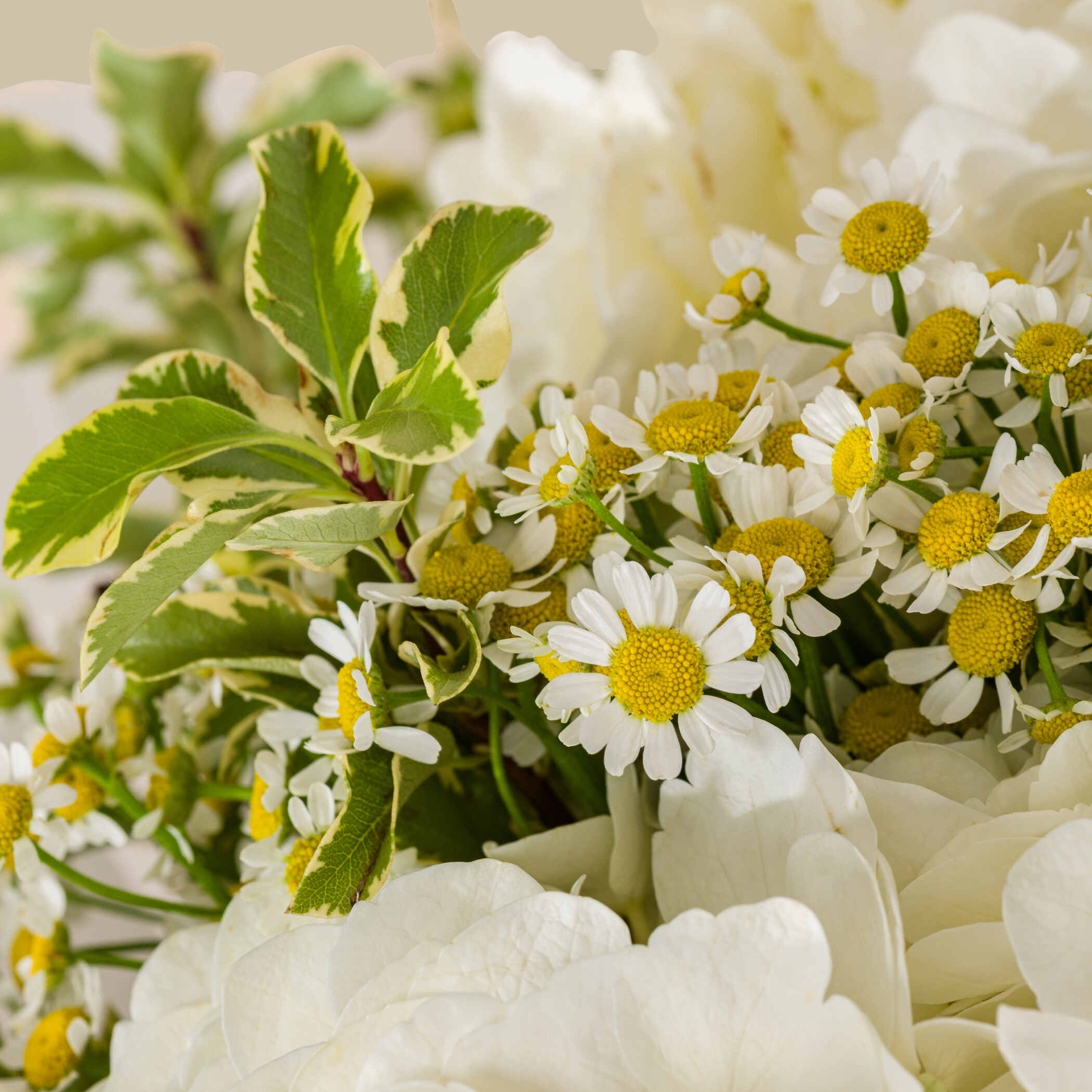 Nature's Delicacy Bouquet Nature's Delicacy Bouquet