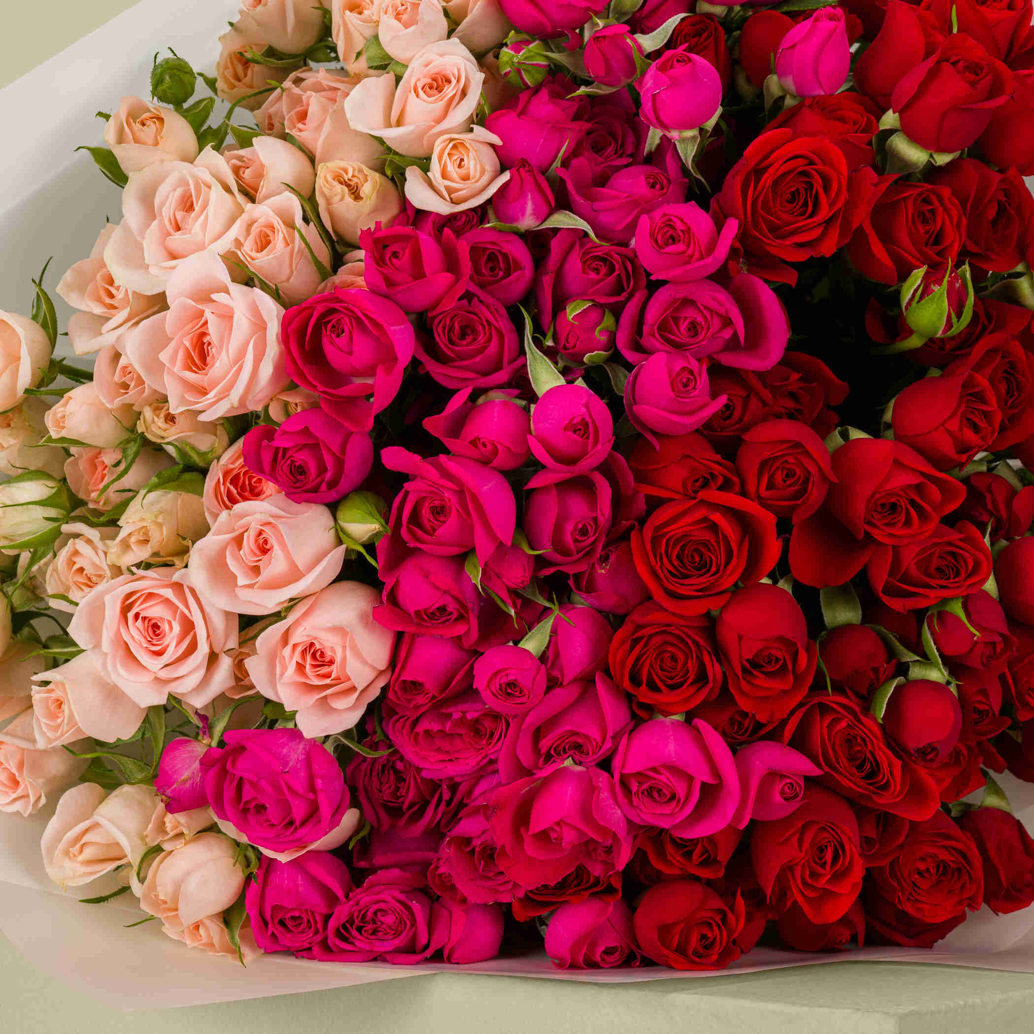Beautiful Fuchsia Bouquet Beautiful Fuchsia Bouquet