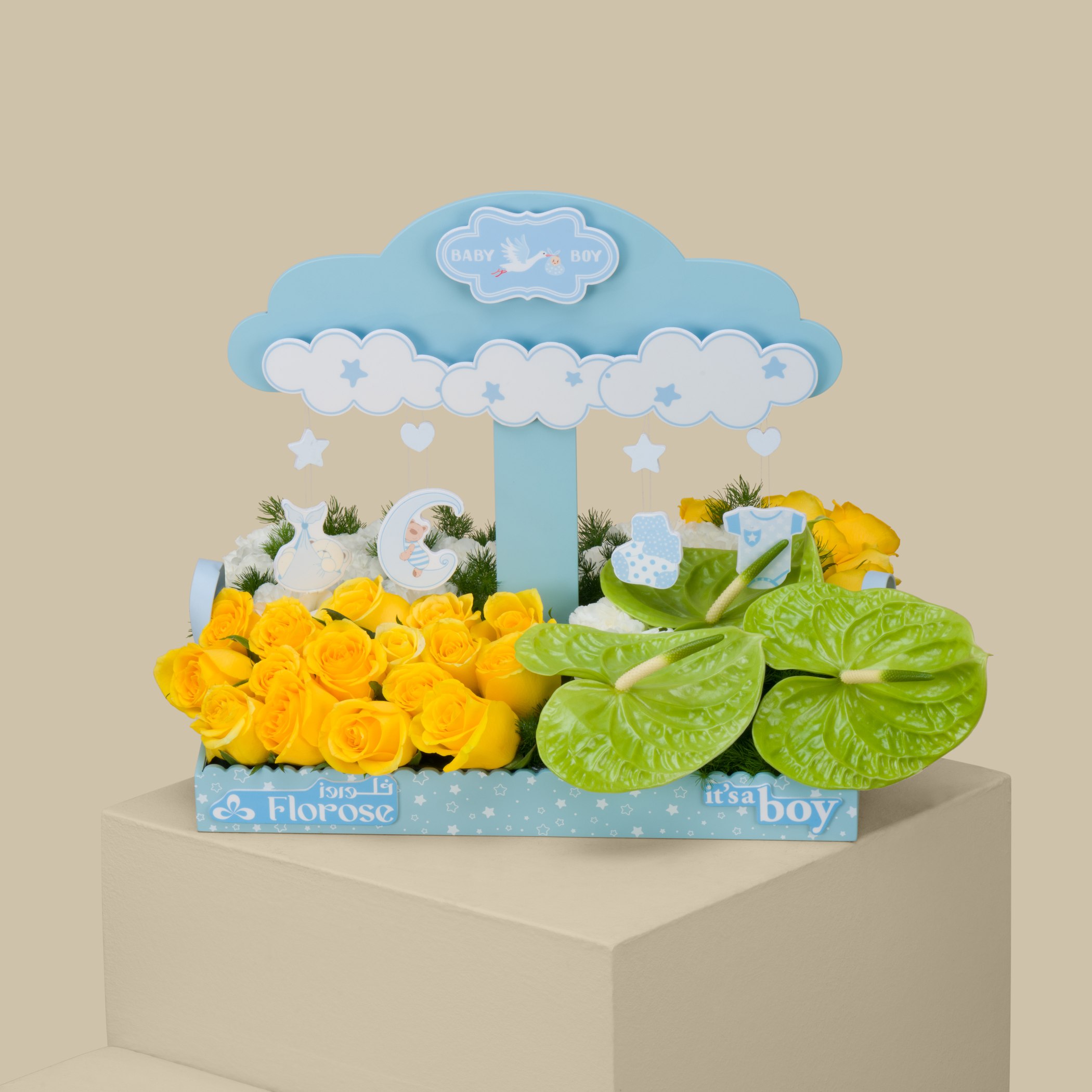 Baby Cloud Tray | Boy Baby Cloud Tray | Boy