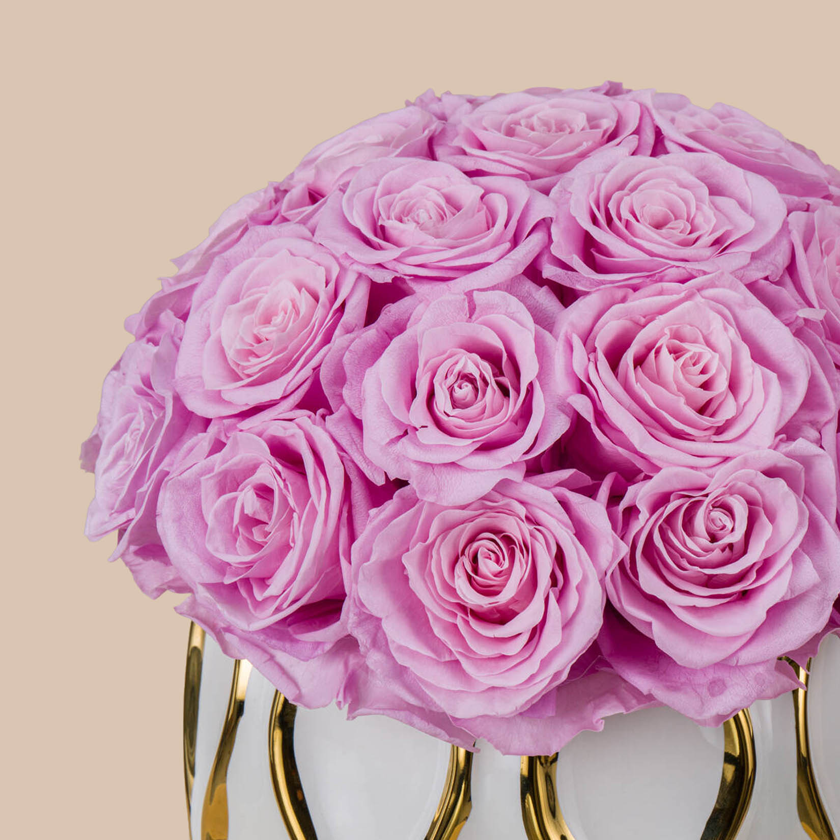 Preserved Roses Vase | Pink Preserved Roses Vase | Pink