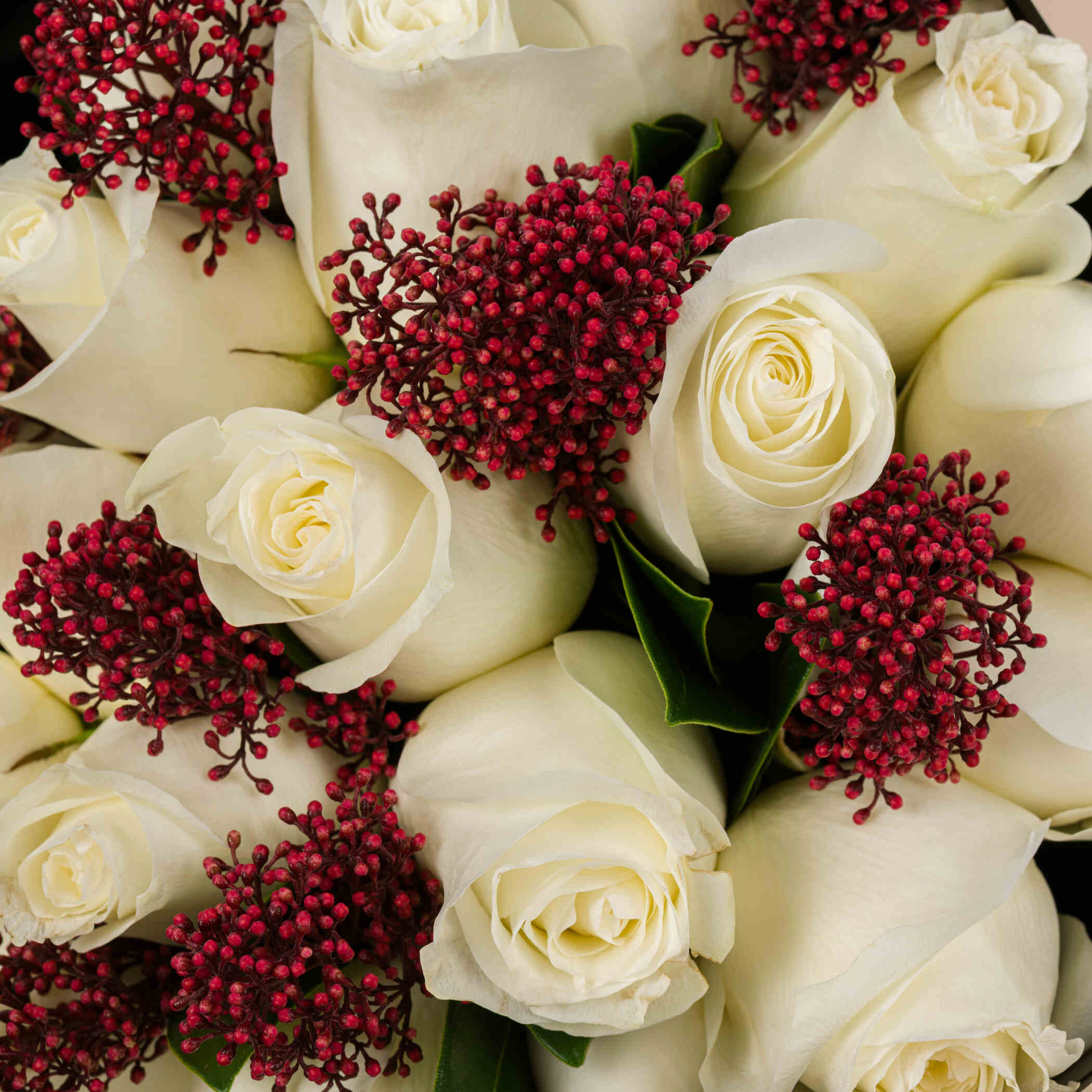 Abucci Praline Chocolate Box 24 Pieces | Snowy Bouquet Abucci Praline Chocolate Box 24 Pieces | Snowy Bouquet