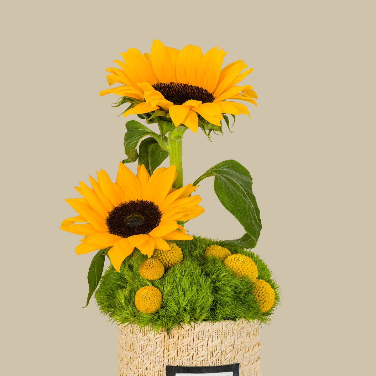 Sunrise Basket Sunrise Basket