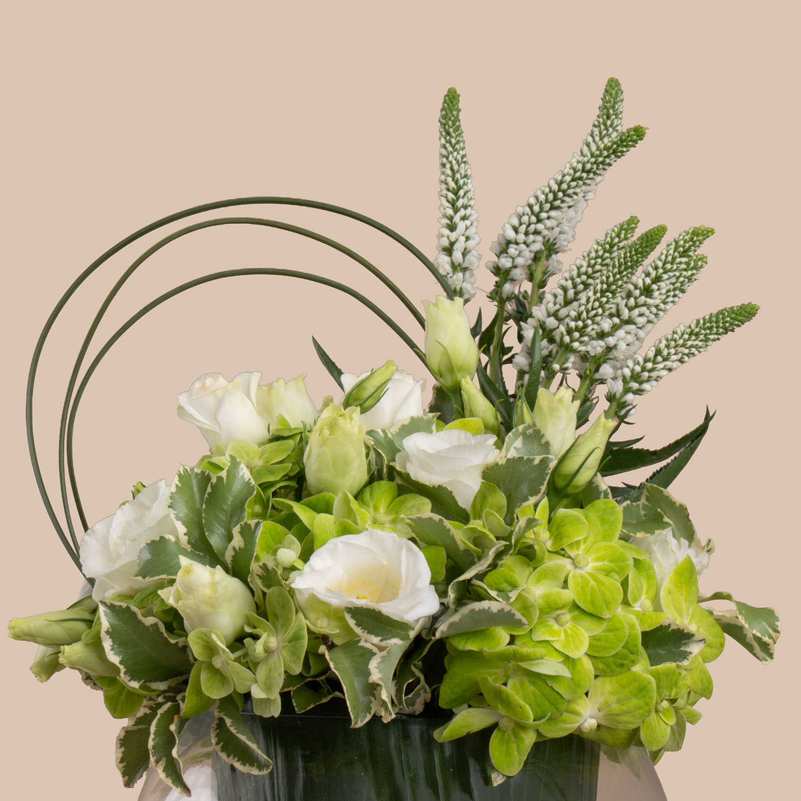 Blissful Bloom Vase | Jarir Vouchers 200 Riyals Blissful Bloom Vase | Jarir Vouchers 200 Riyals