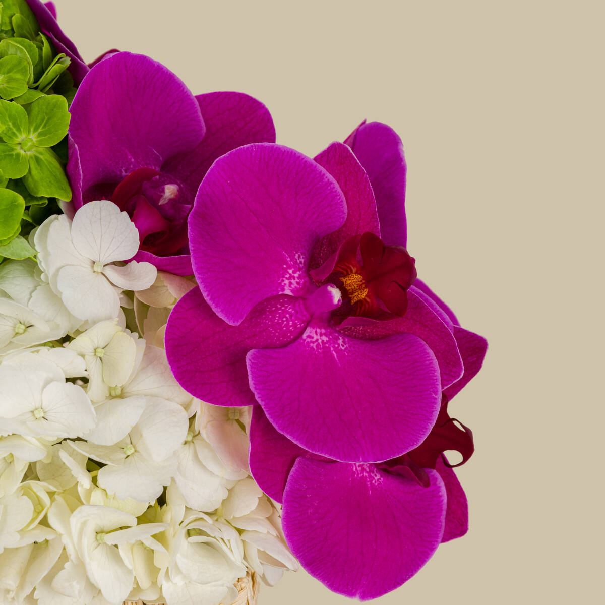 Spring Joy Basket Spring Joy Basket