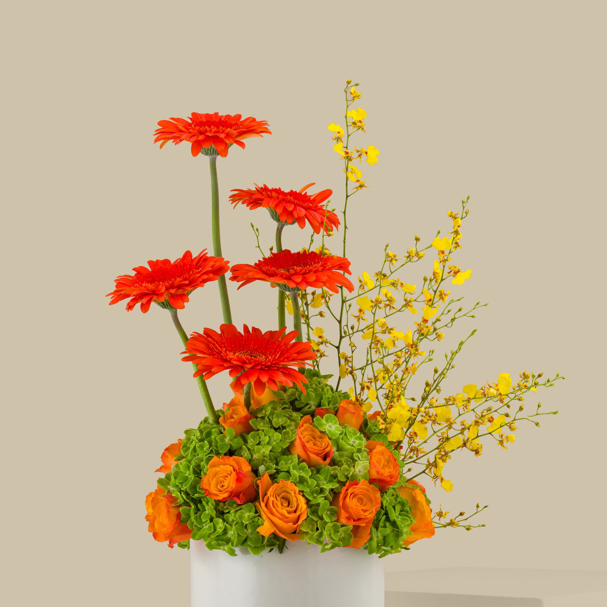 Blossoms Crown Box Blossoms Crown Box