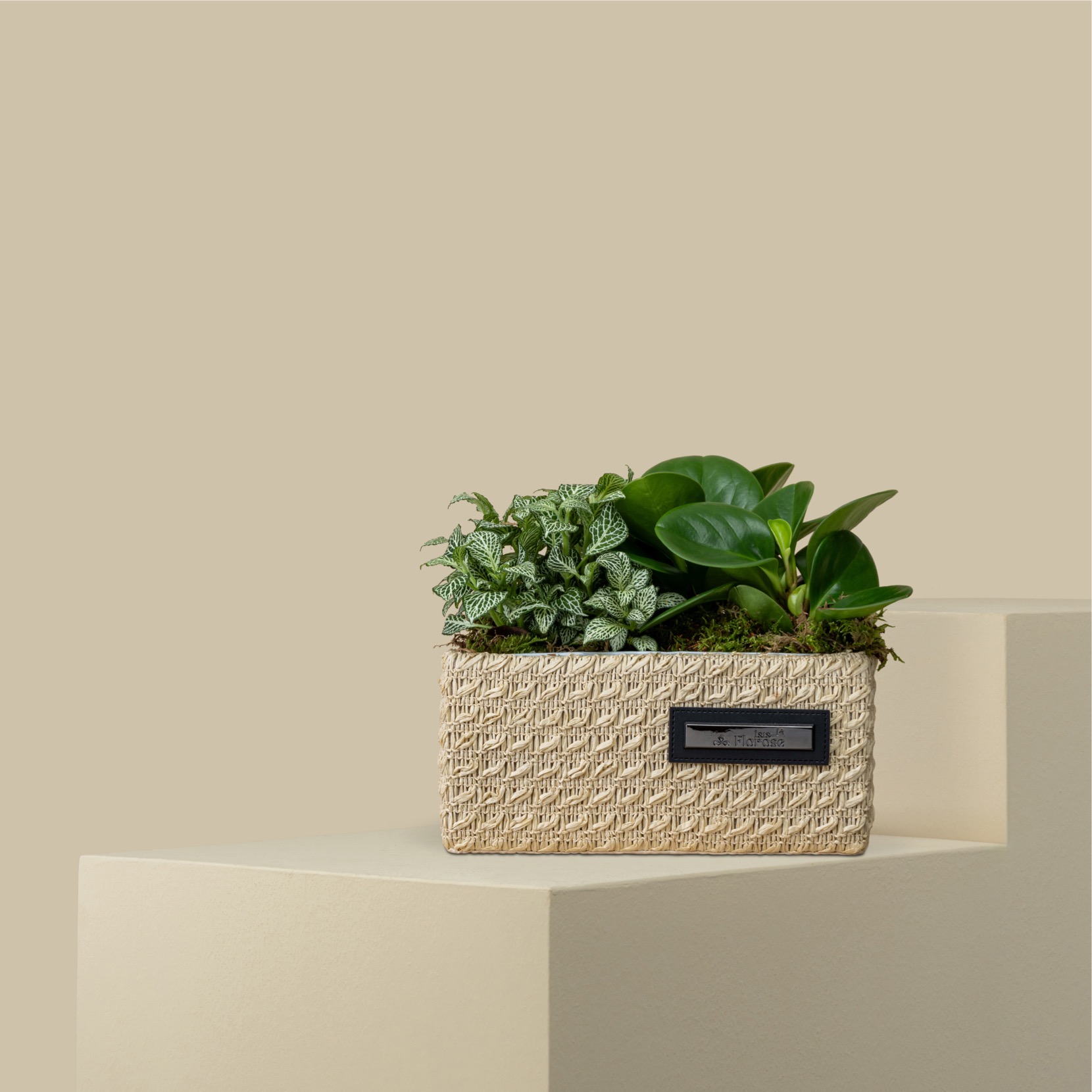 Radiant Green Basket Radiant Green Basket