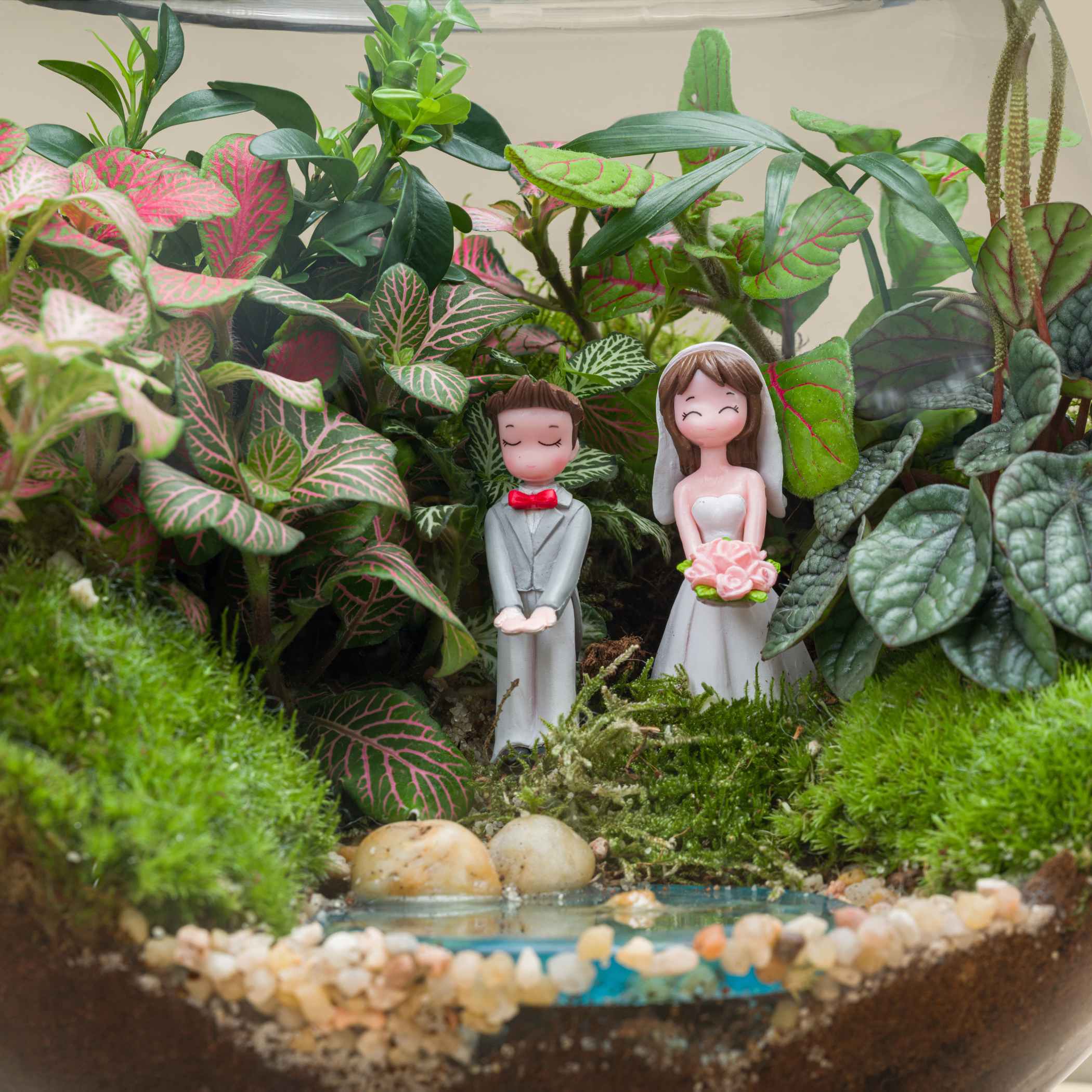 Terrarium Married Couple Garden | Large Terrarium Married Couple Garden | Large