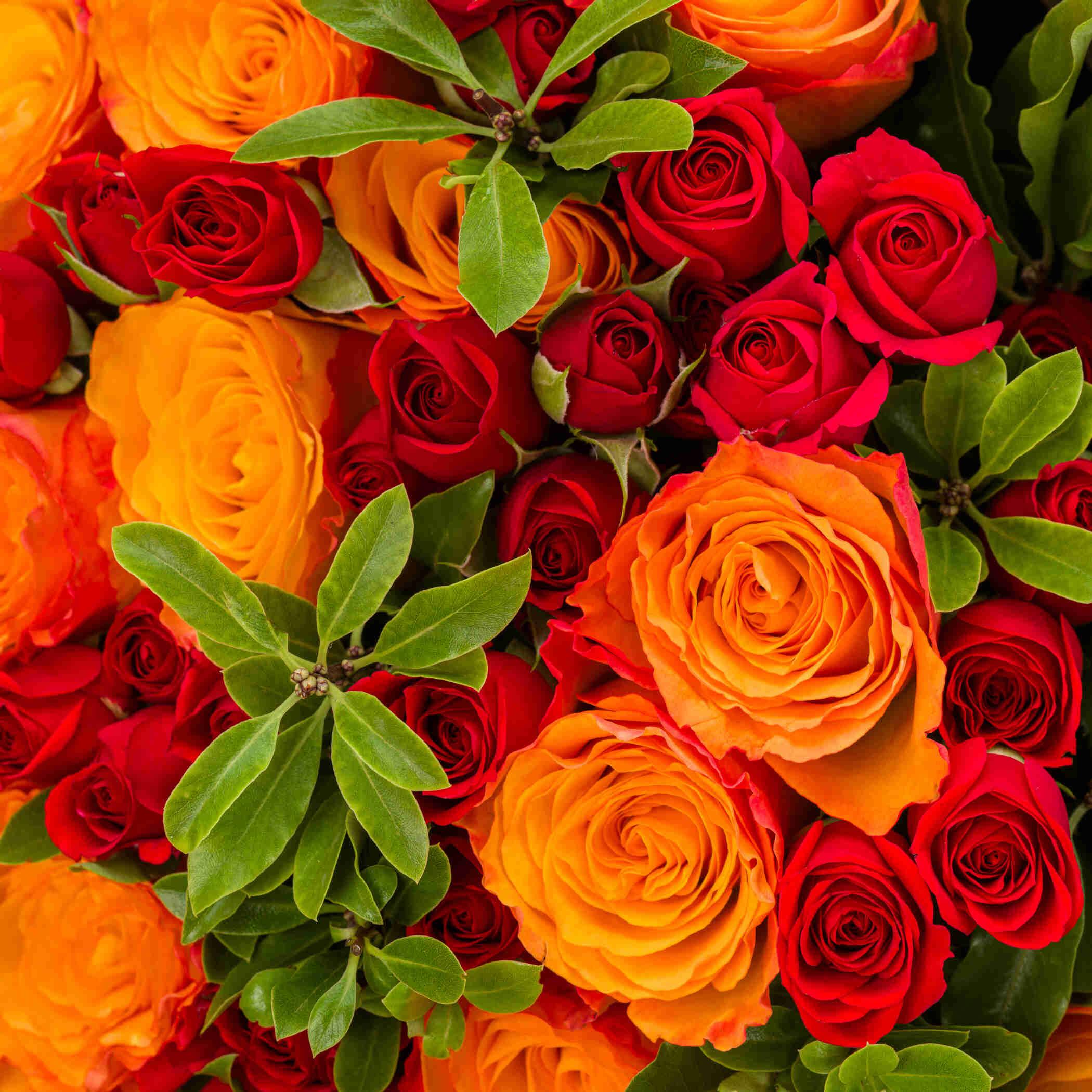 Gradients Of Joy Bouquet Gradients Of Joy Bouquet