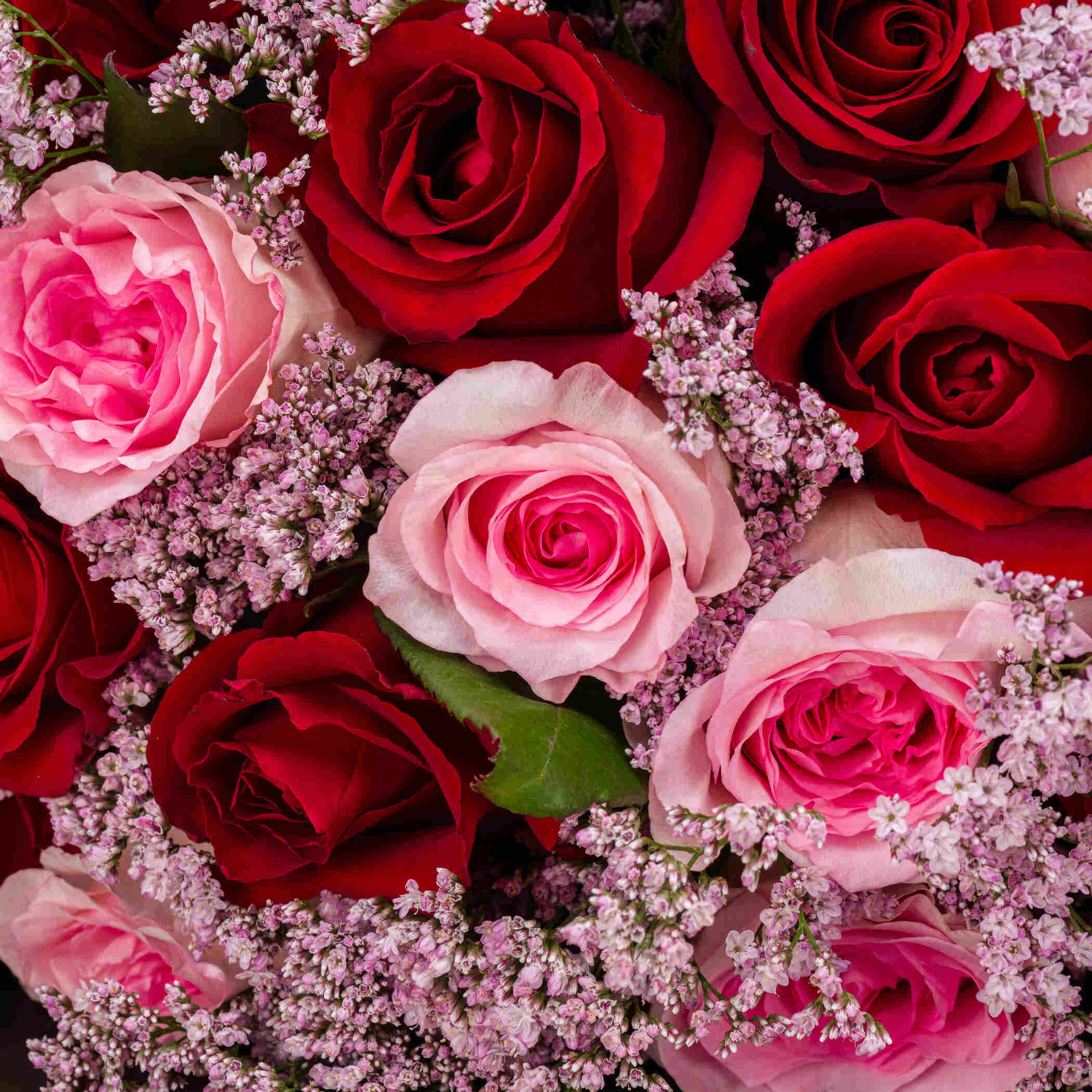 Velvet Bloom Bouquet Velvet Bloom Bouquet
