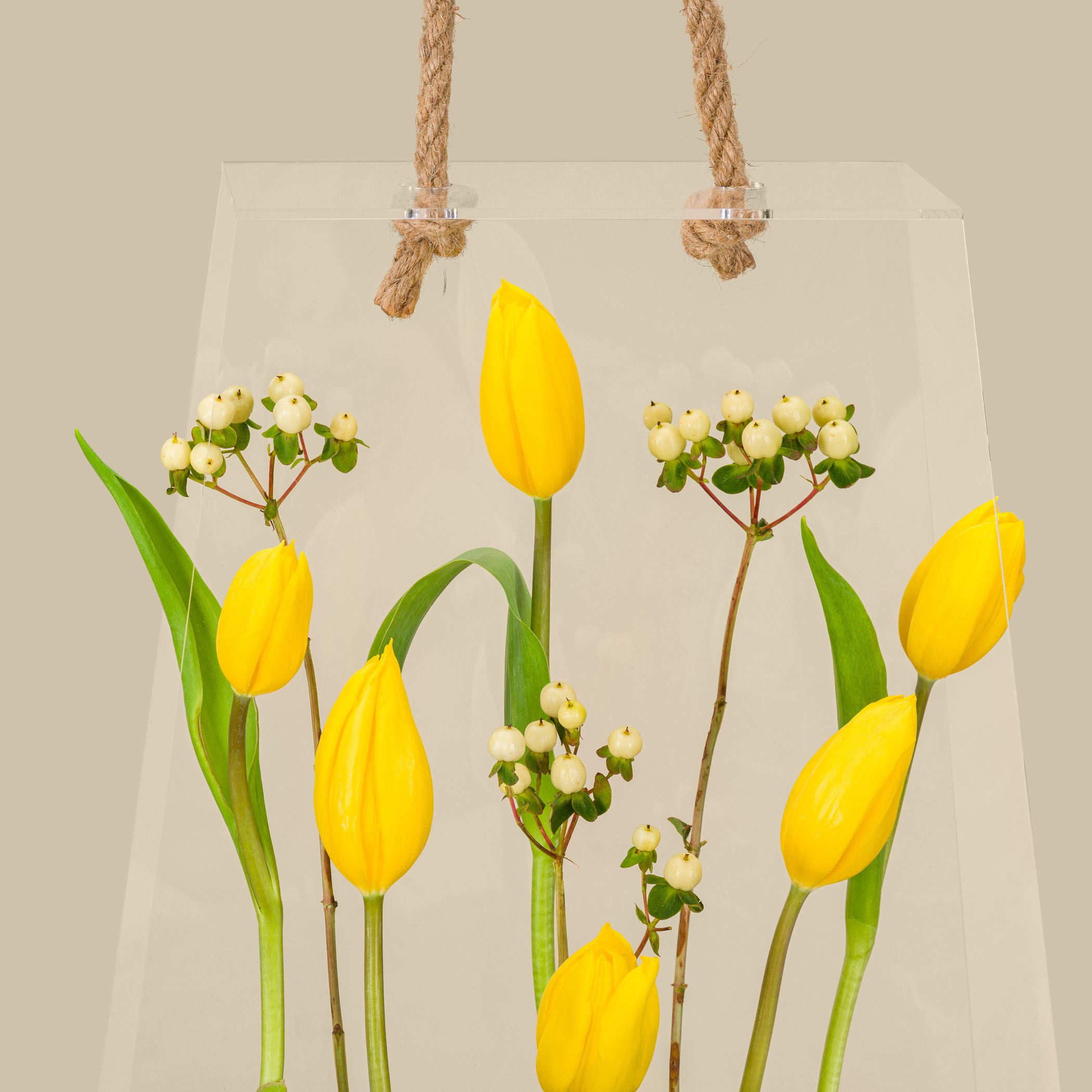 Acrylic Bag Auric Bloom Acrylic Bag Auric Bloom