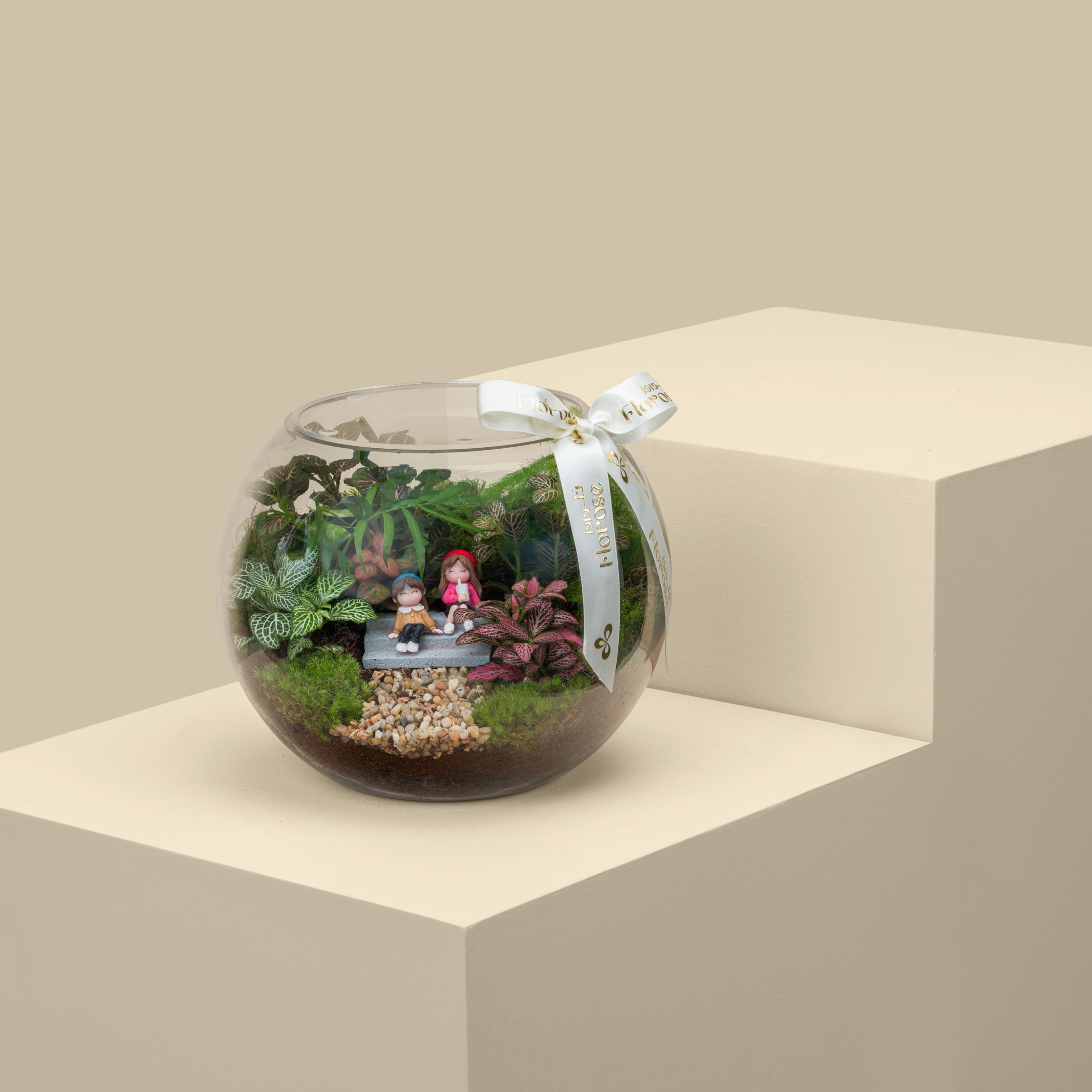 Terrarium Friends Garden | Medium Terrarium Friends Garden | Medium