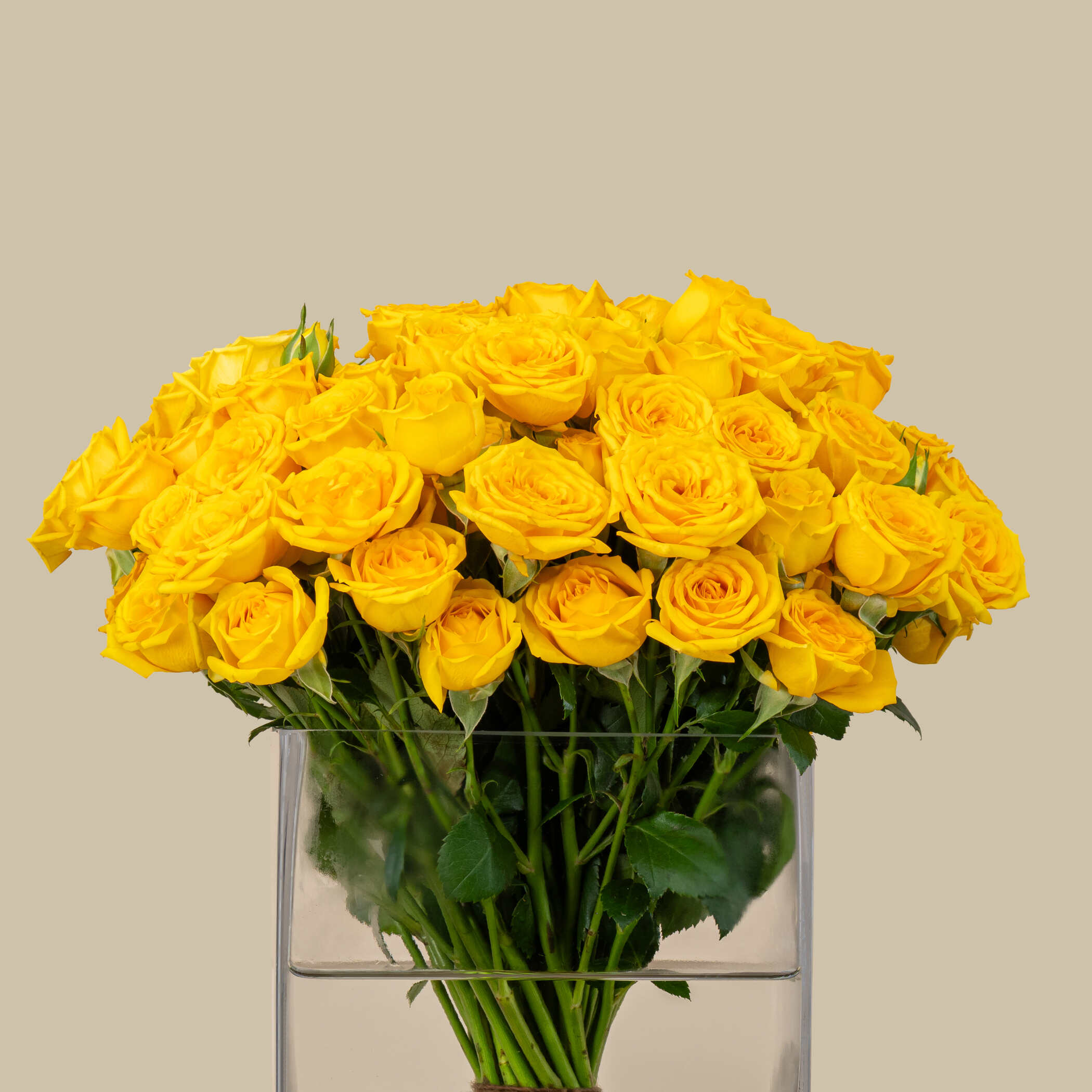 Glorious Spray Rose Square Vase Yellow | 30 Flowers Glorious Spray Rose Square Vase Yellow | 30 Flowers
