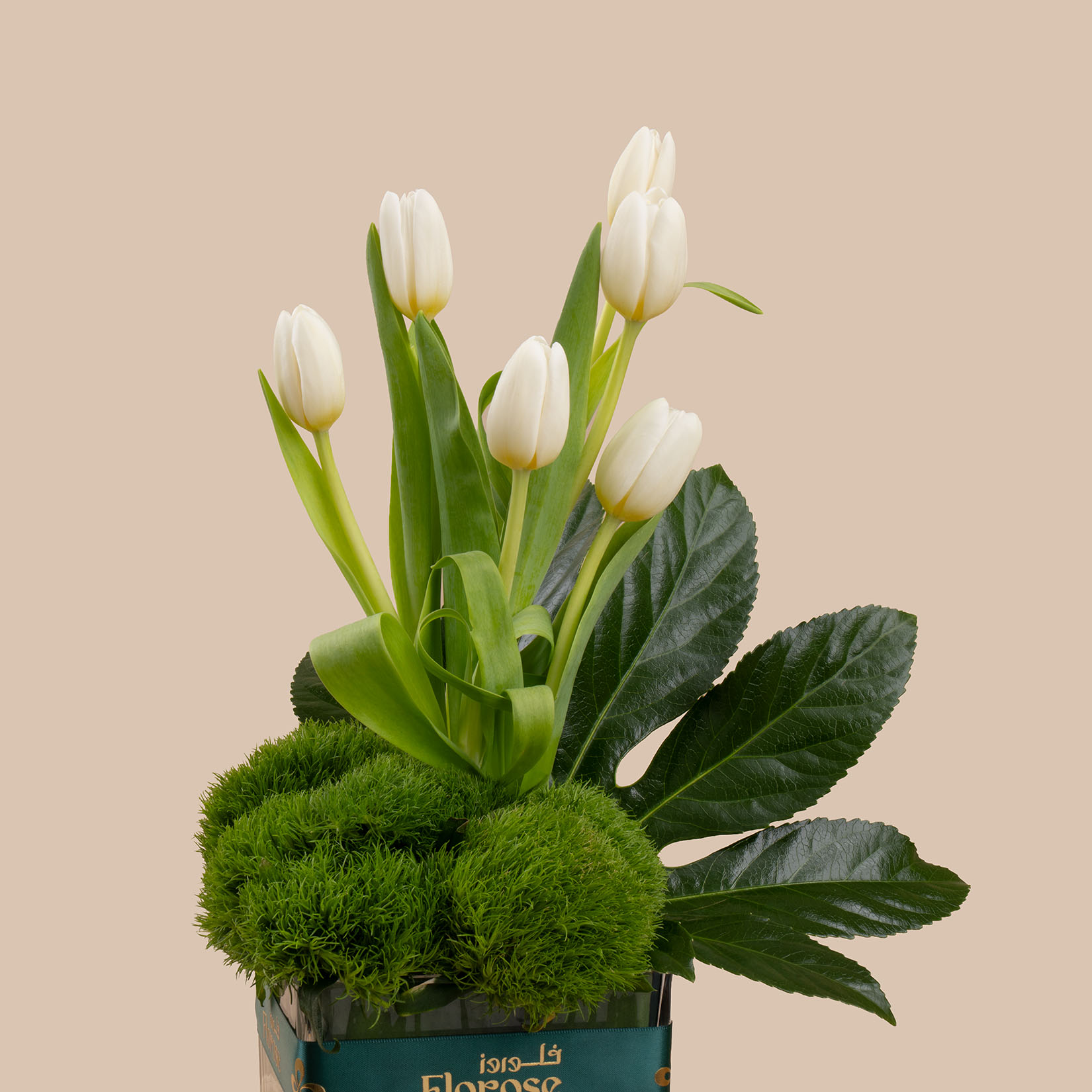 Levo | Saudi National Anthem Chocolate Bar | Majestic Vase Levo | Saudi National Anthem Chocolate Bar | Majestic Vase