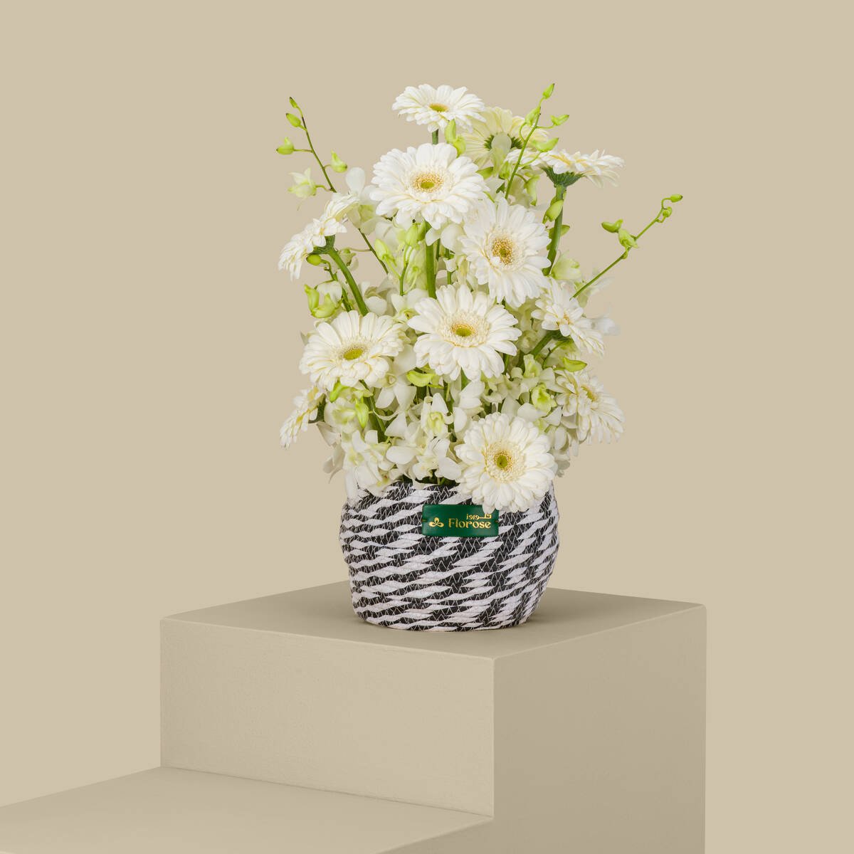 Bloom Sanata Basket Bloom Sanata Basket
