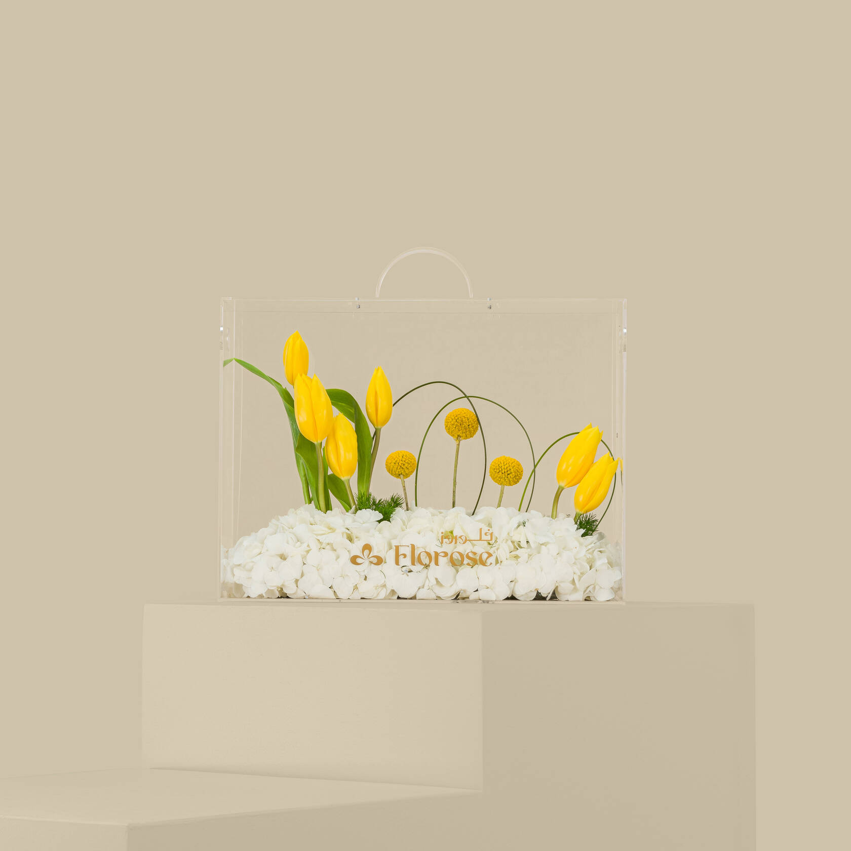 Gilded Rose in Acrylic Bag Gilded Rose in Acrylic Bag