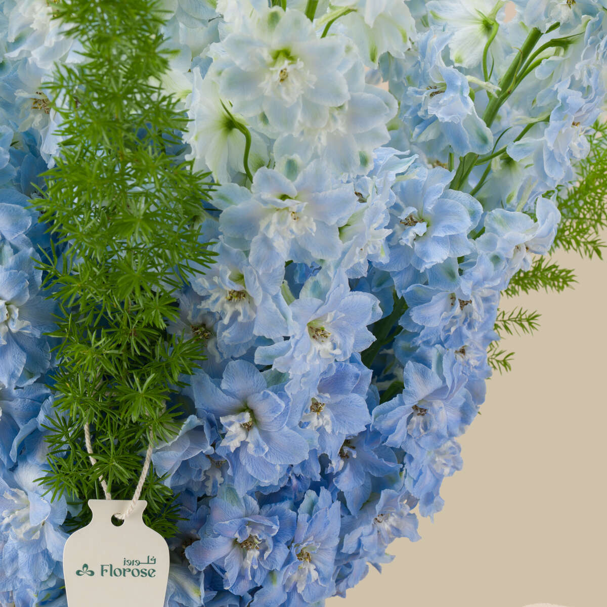 Eternity Secret Premium Vase Eternity Secret Premium Vase