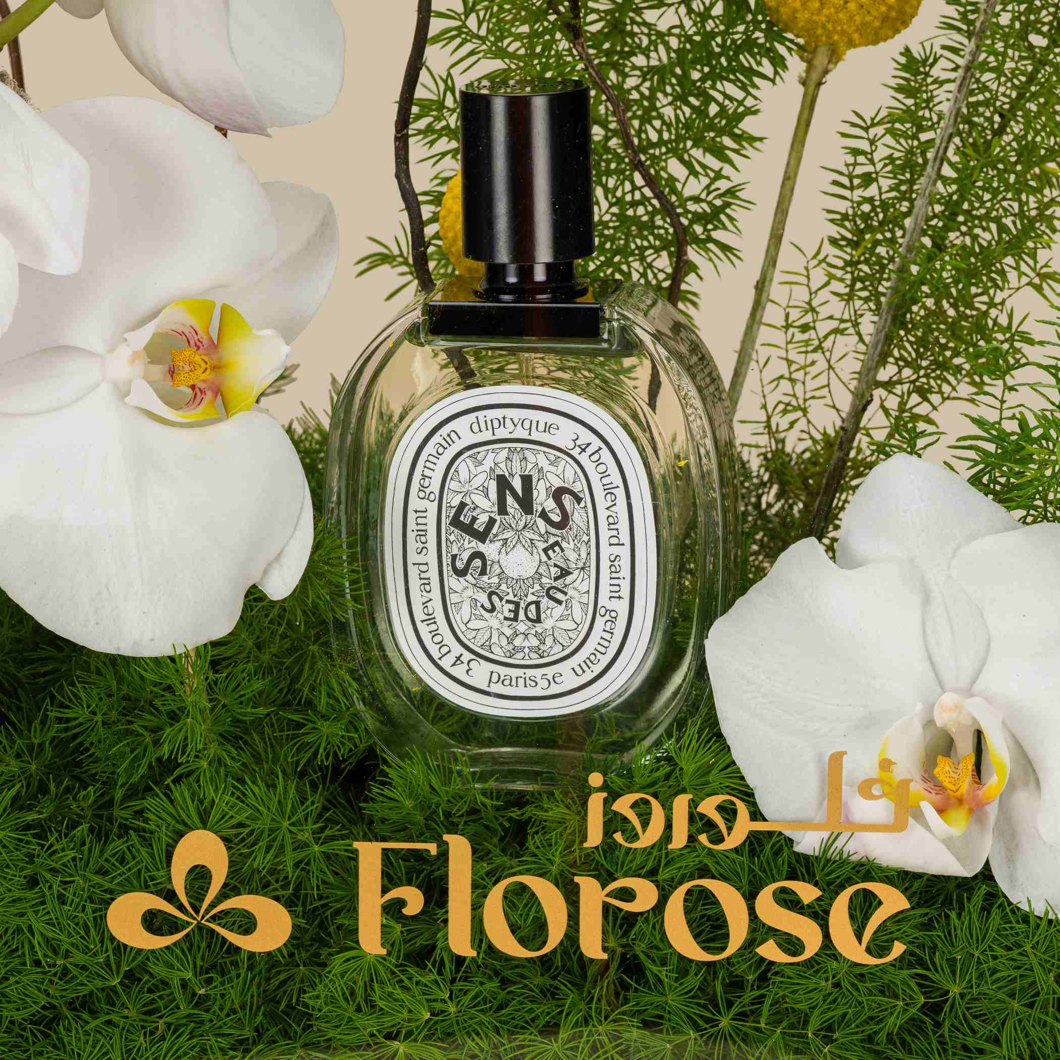 Diptyque Eau Des Sens EDT | Acrylic Bag Innocent Look Diptyque Eau Des Sens EDT | Acrylic Bag Innocent Look