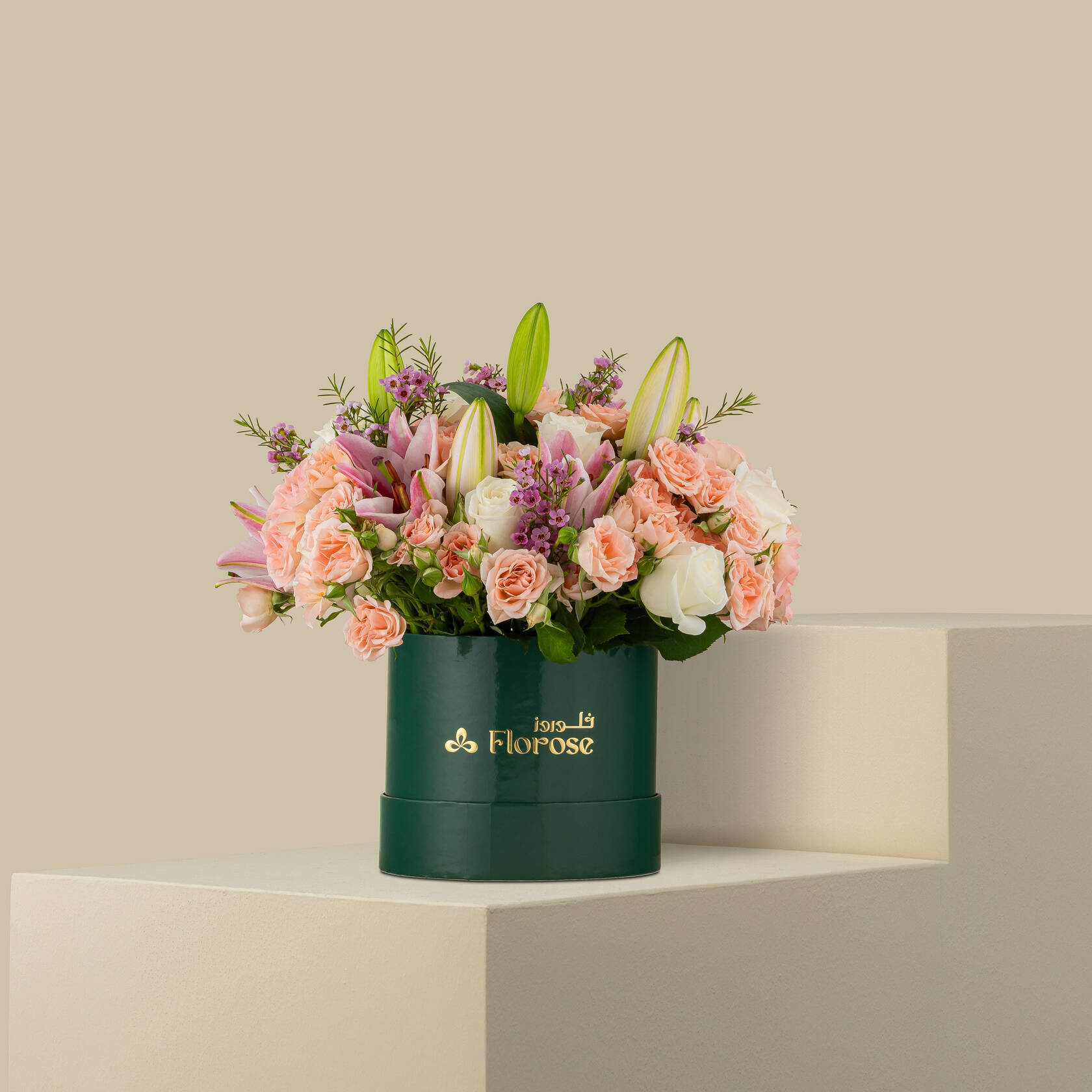 Spring Colors Box Spring Colors Box