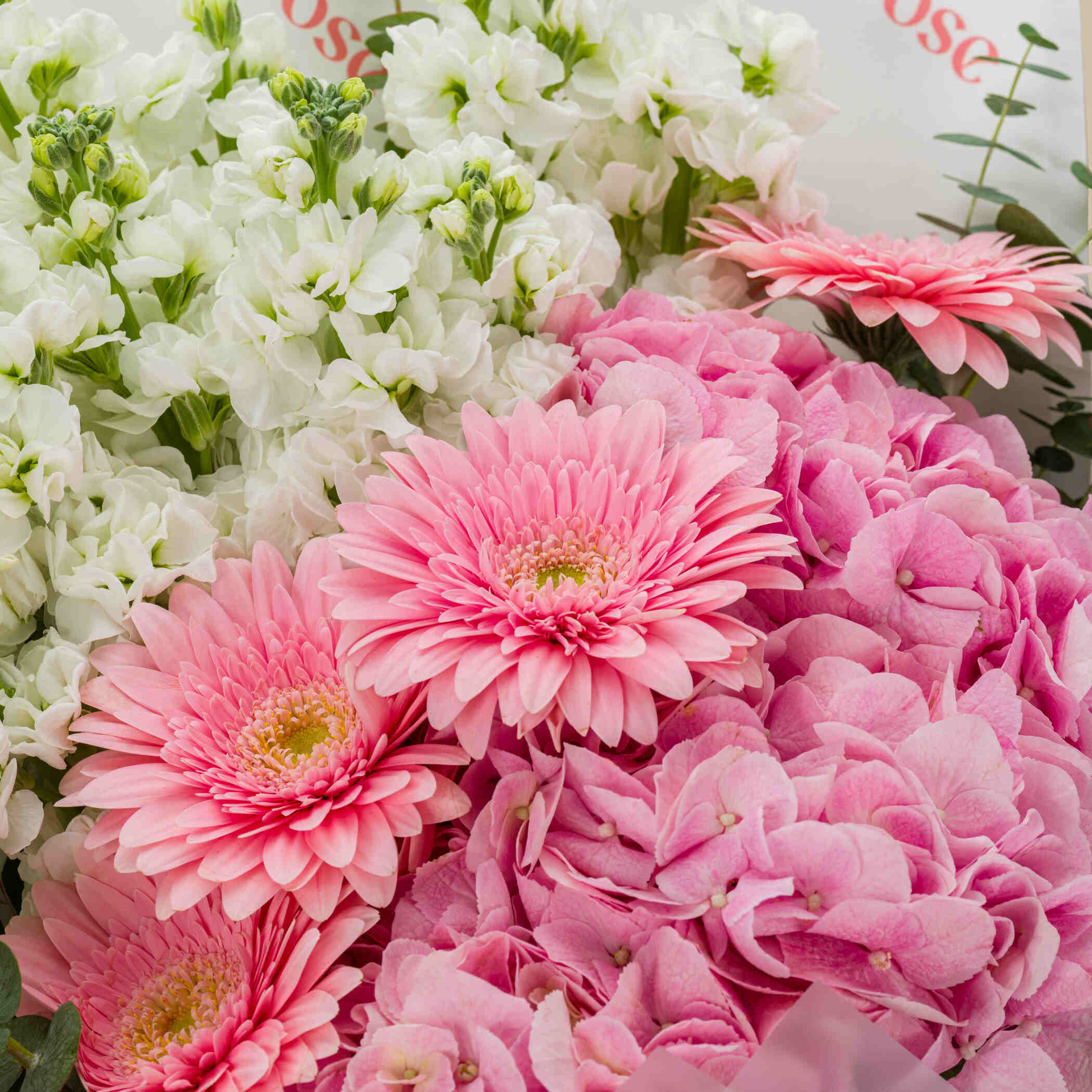 Pink Flamingo Bouquet Pink Flamingo Bouquet