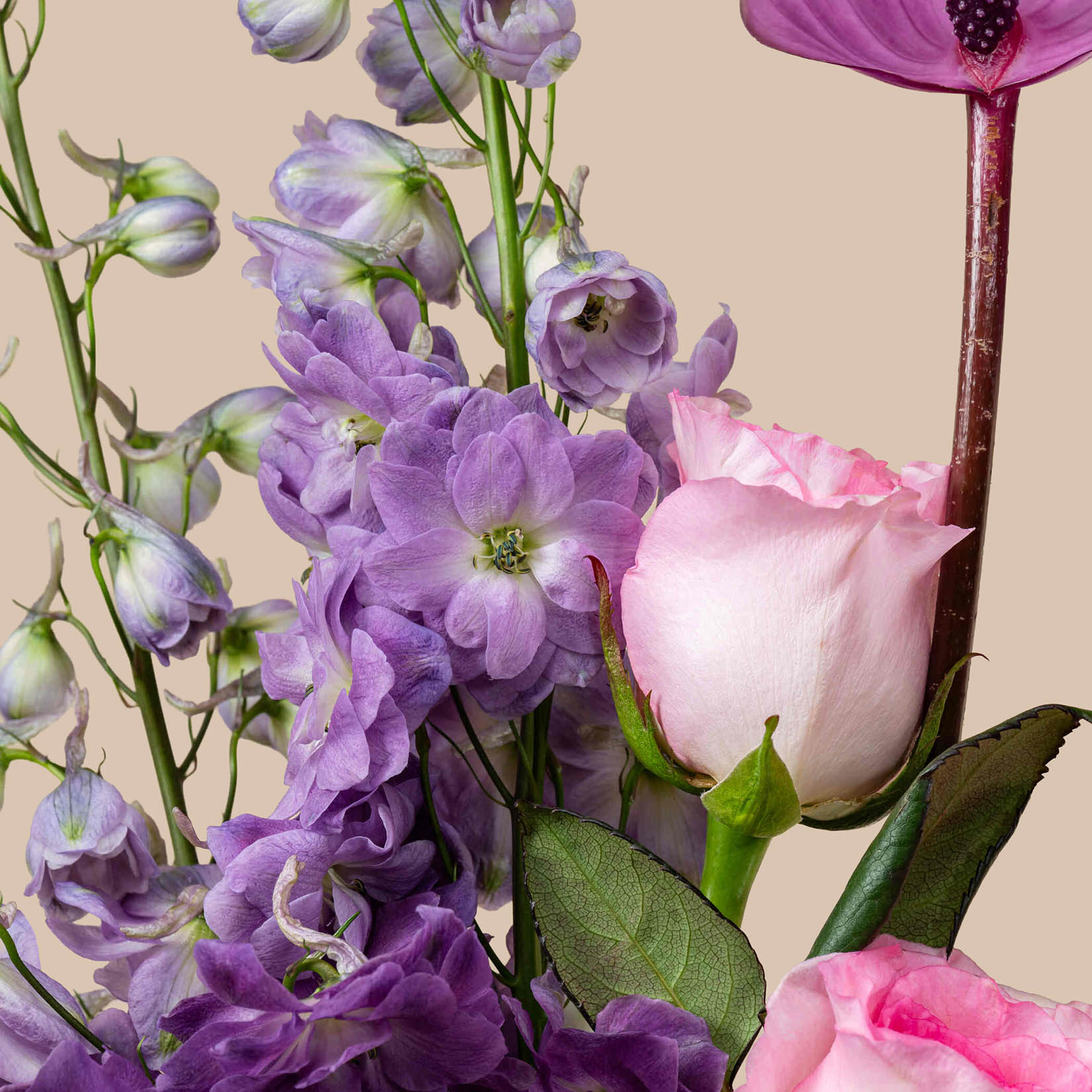 Violetta Sculpture Vase Violetta Sculpture Vase