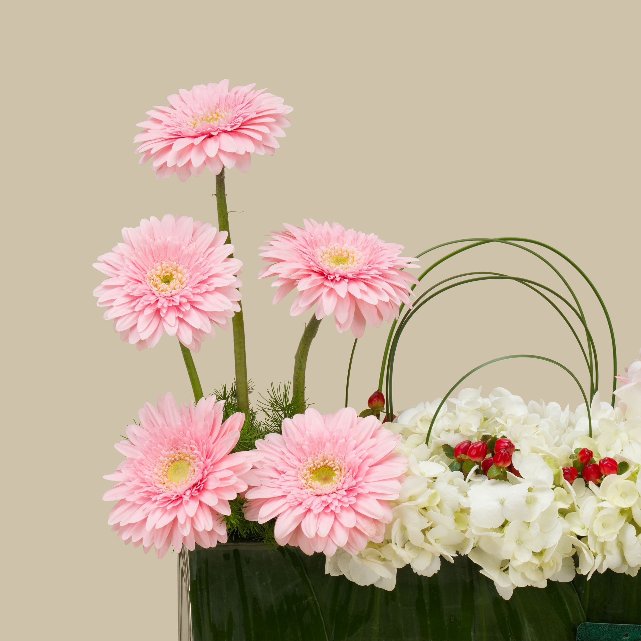 Blooming Grace Rec Vase Blooming Grace Rec Vase