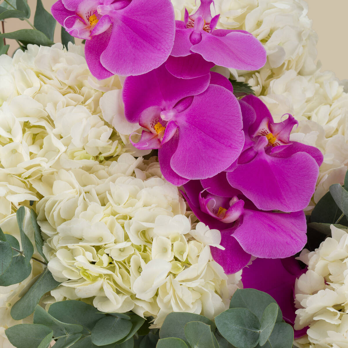 Pink Clouds Premium Vase Pink Clouds Premium Vase