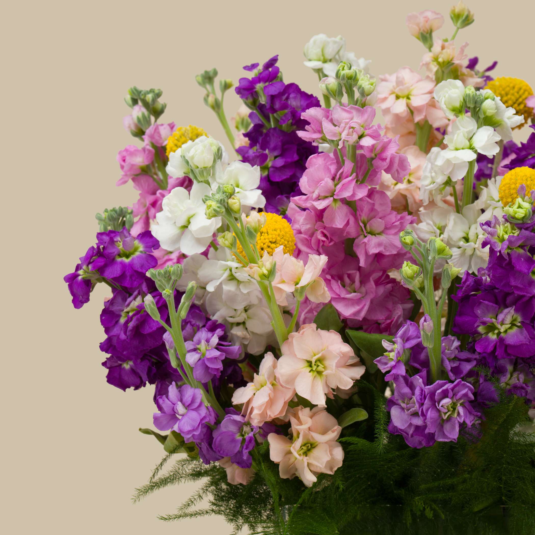 Garden Glow Square Vase Garden Glow Square Vase