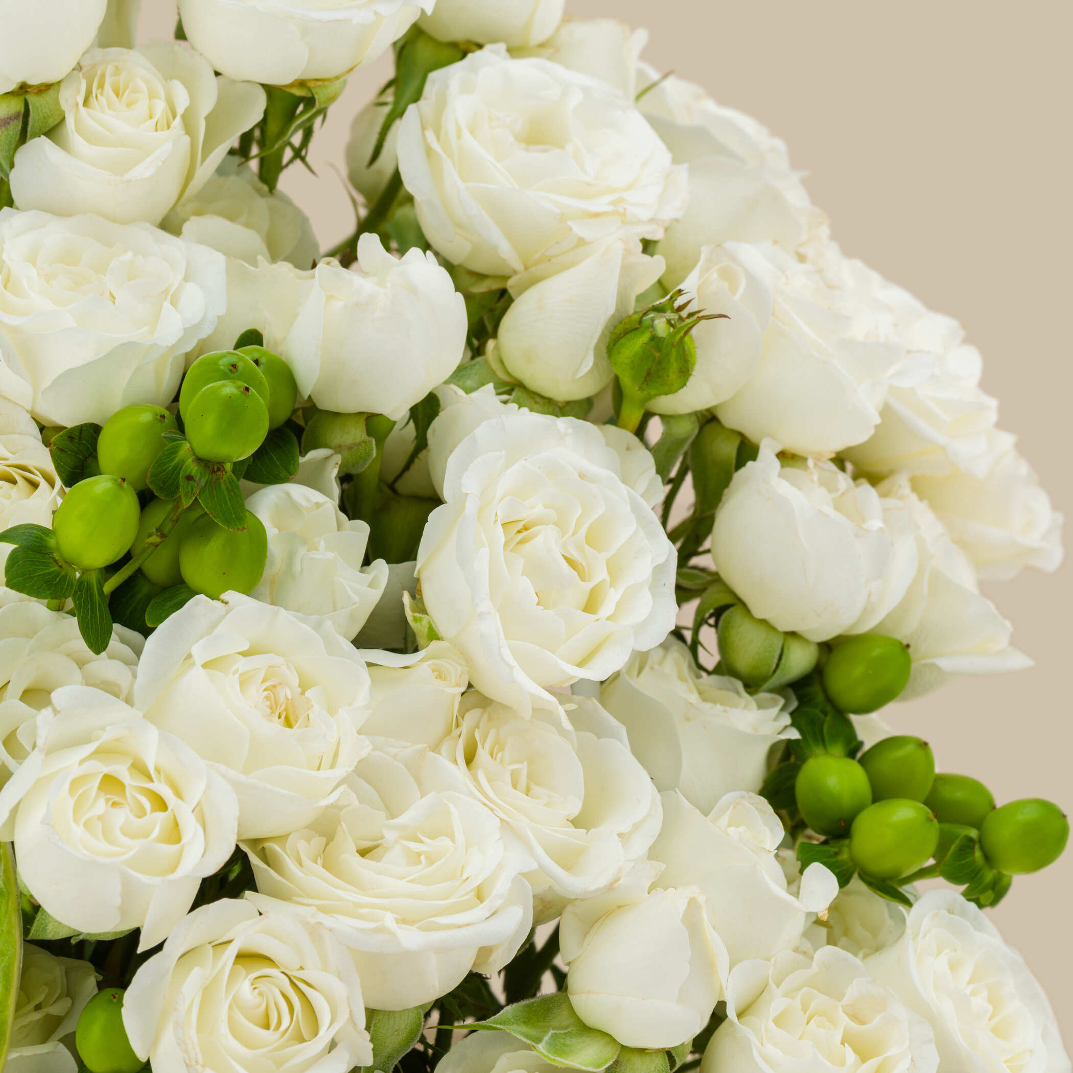 Snow White Box Snow White Box