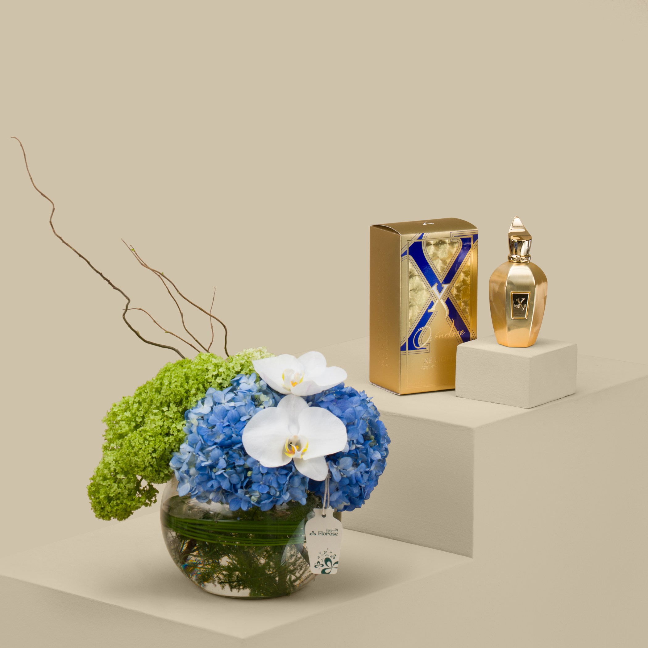 Xerjoff Accento Overdose EDP | Nature Shadows Xerjoff Accento Overdose EDP | Nature Shadows