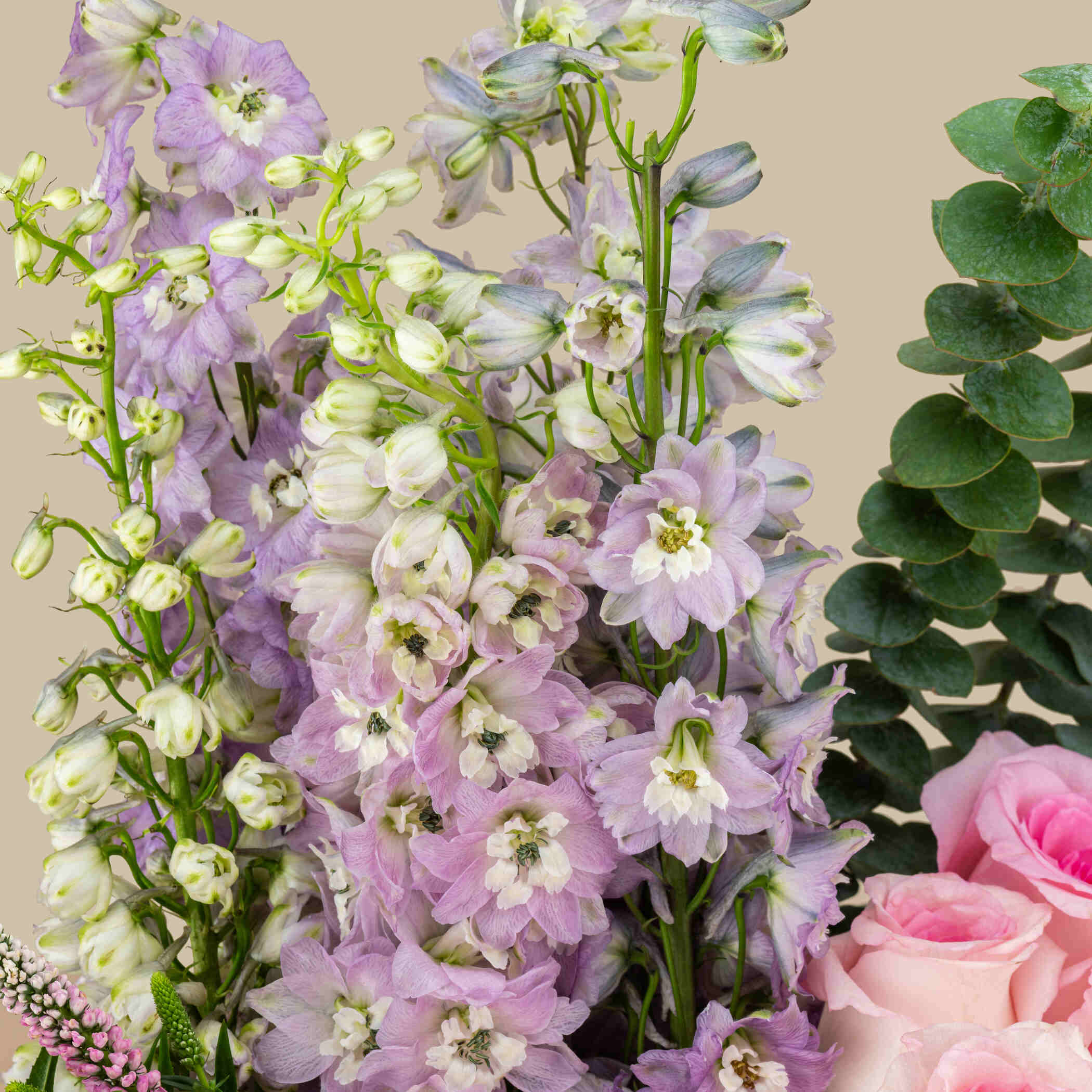 Floral Melody Box Floral Melody Box