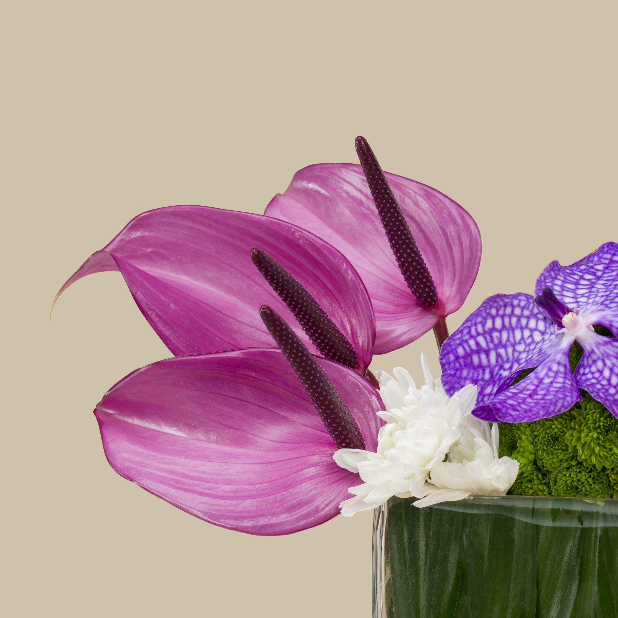 Petal Galaxy Rec Vase Petal Galaxy Rec Vase