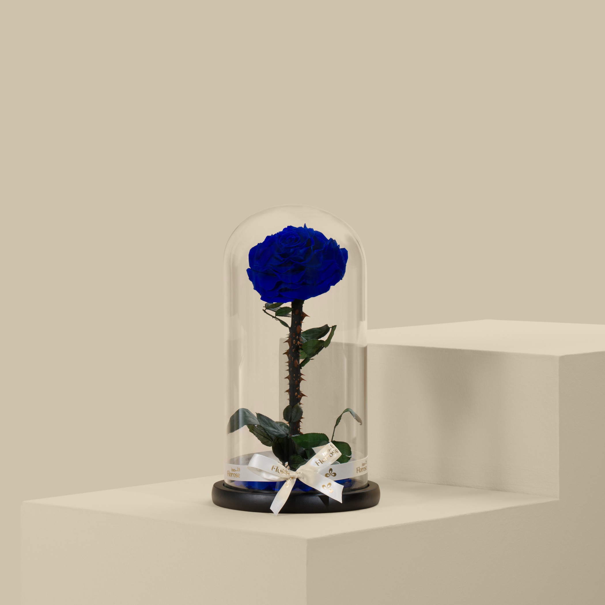 Preserved Blue Rose Preserved Blue Rose