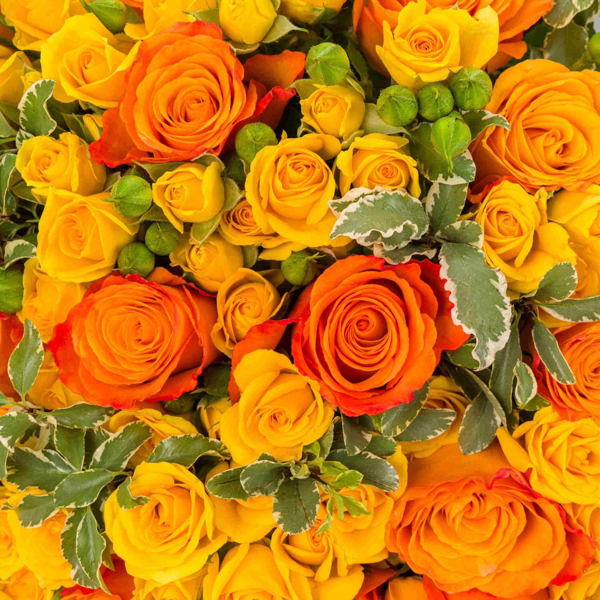 Patchi Les Choco Caramels | Bright Petals Bouquet Patchi Les Choco Caramels | Bright Petals Bouquet
