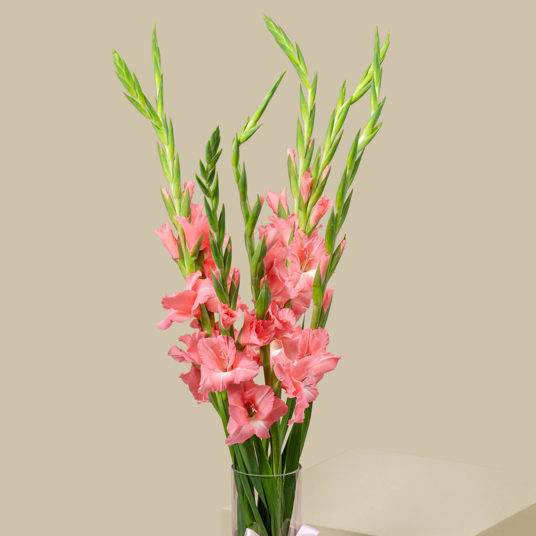 Peach Gladiolus Vase Peach Gladiolus Vase