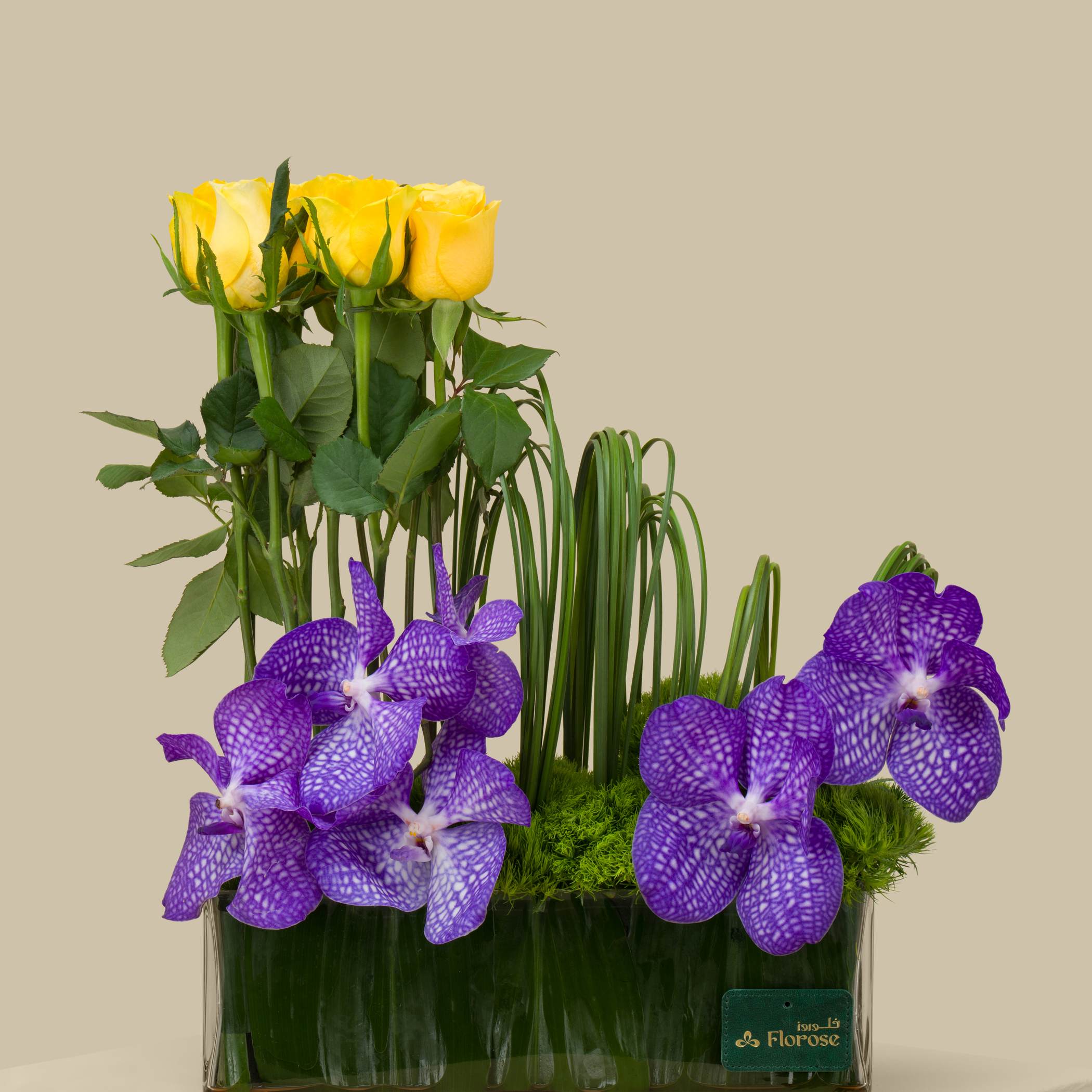 Extraordinary Mix Rec Vase Extraordinary Mix Rec Vase