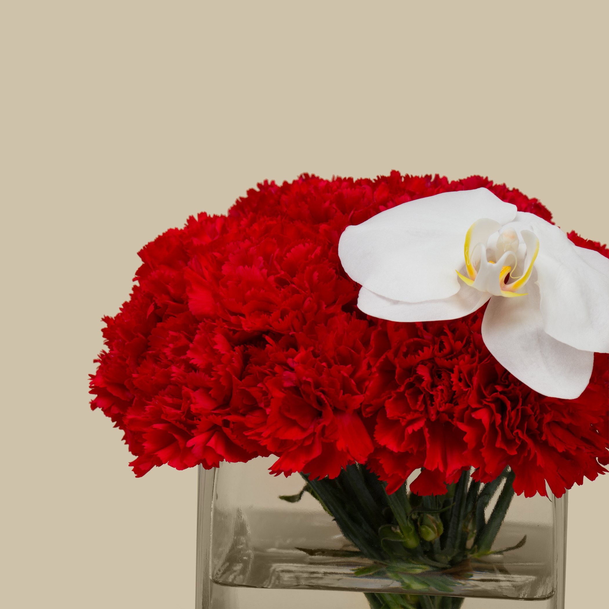 مزهرية مربعة نبض القلب مزهرية مربعة نبض القلب
