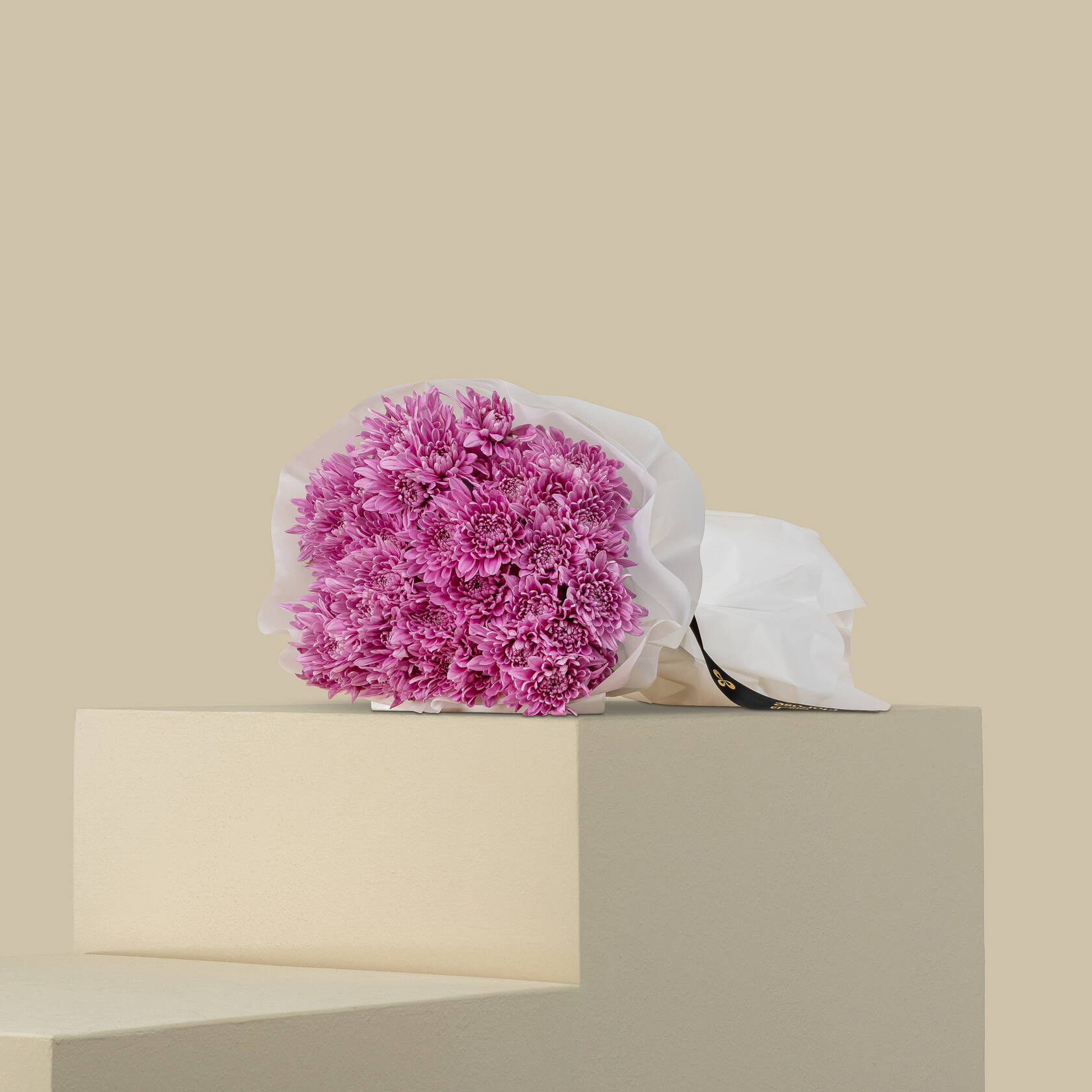 Chrysanthemum Pink Bouquet Chrysanthemum Pink Bouquet