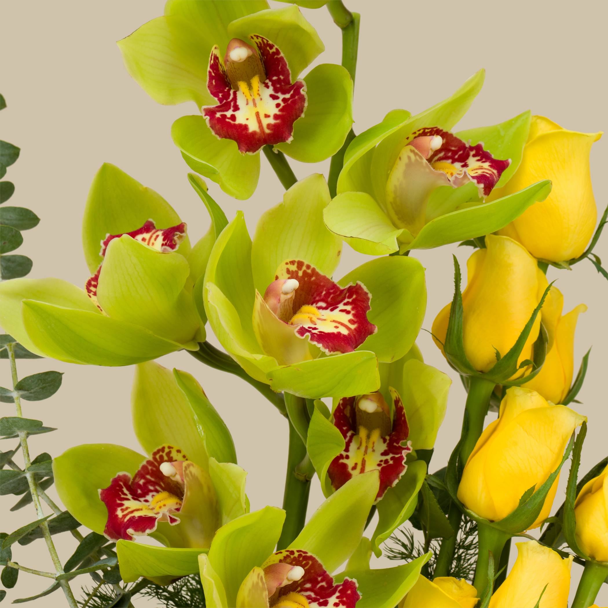 Joyful Moments Square Vase Joyful Moments Square Vase