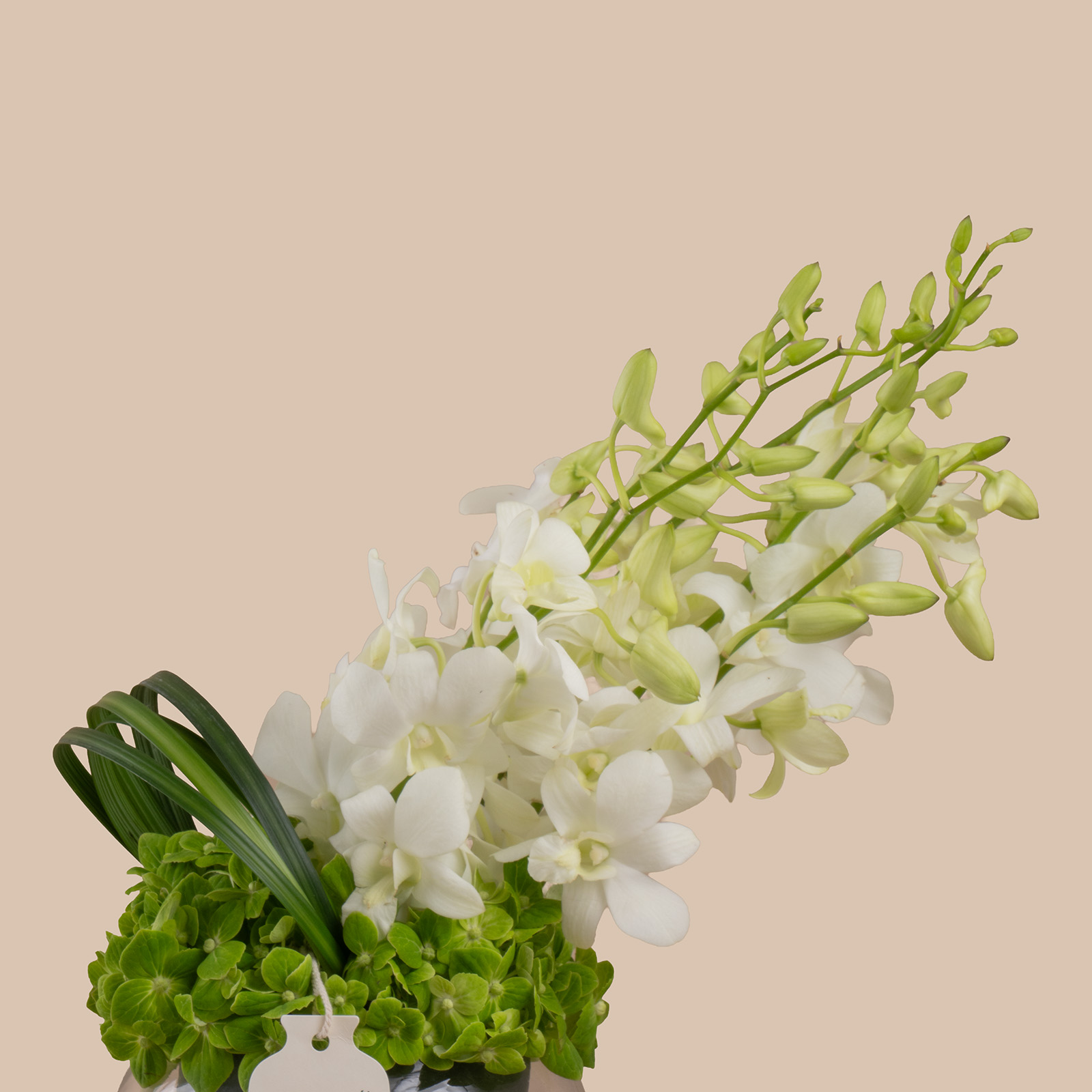 Serene White Round Vase Serene White Round Vase