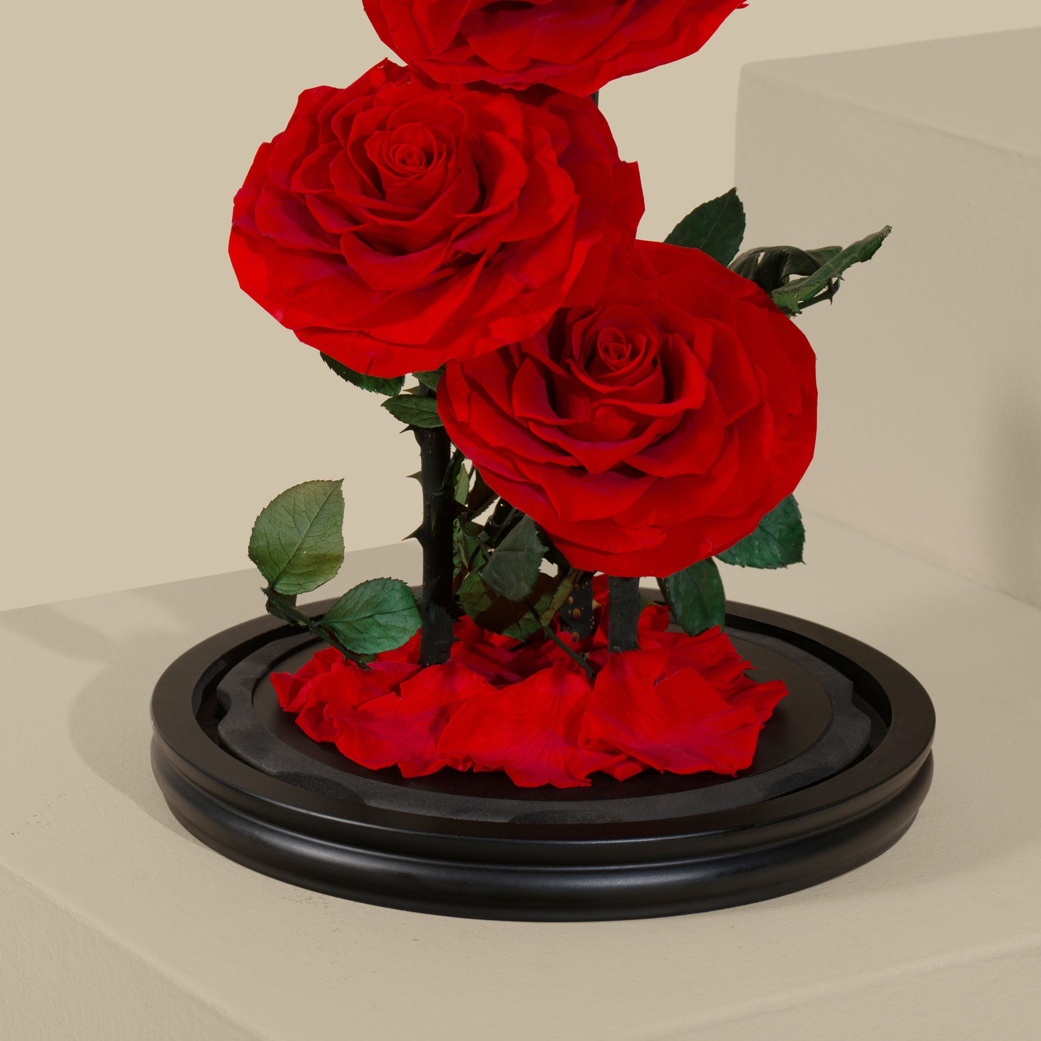 3 Preserved Red Roses 3 Preserved Red Roses