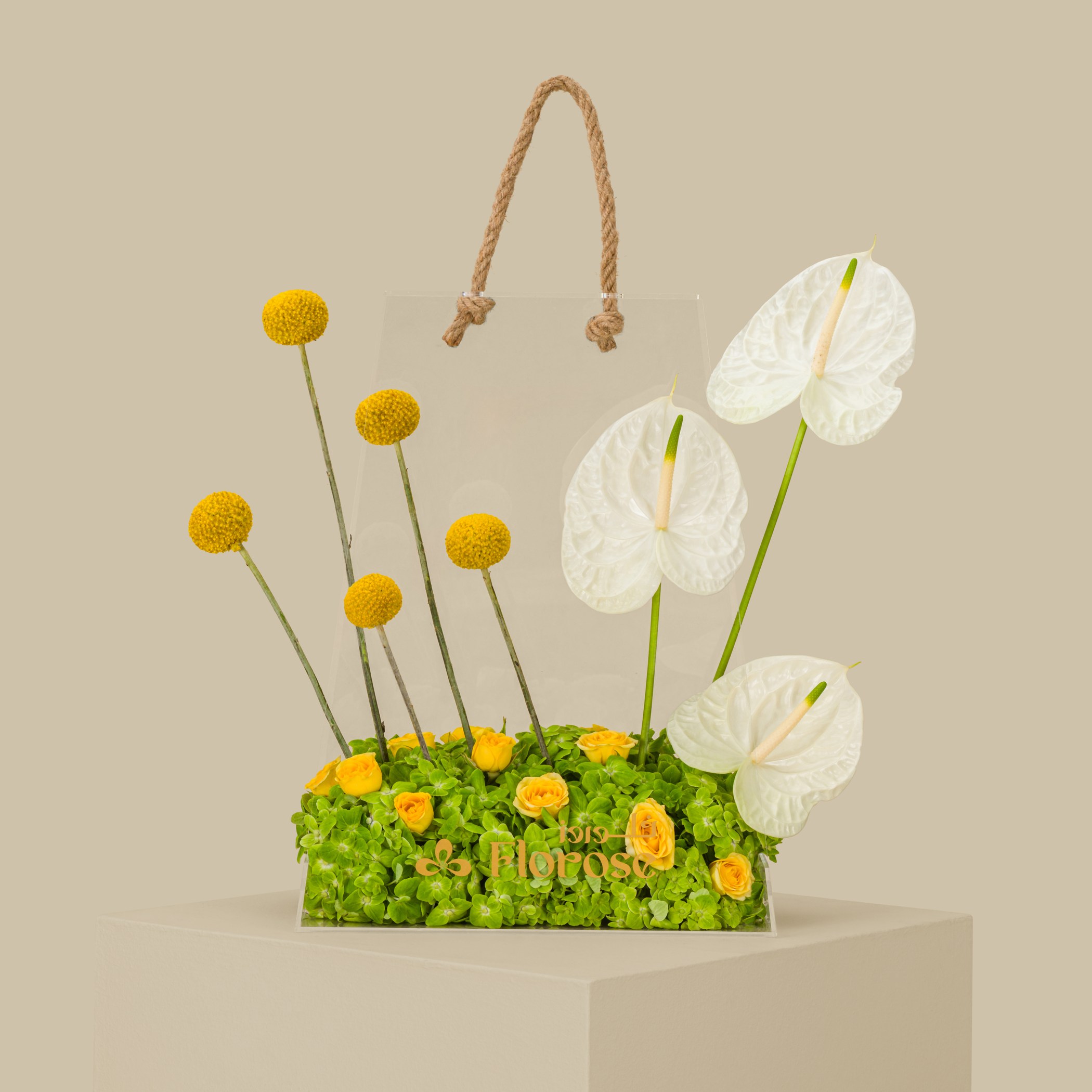 Acrylic Bag Dreamy Moment Acrylic Bag Dreamy Moment