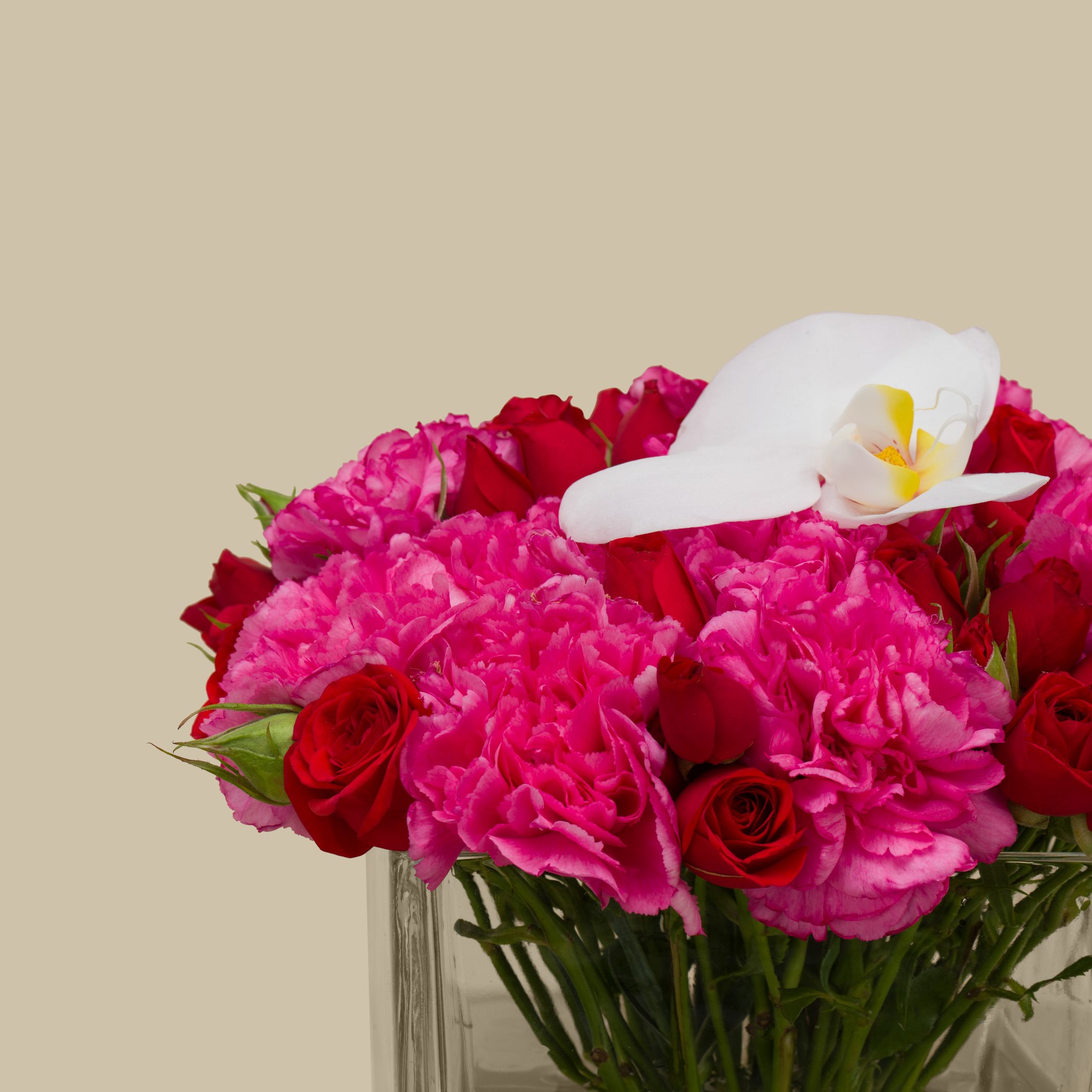 مزهرية مربعة اللحظات الأولى مزهرية مربعة اللحظات الأولى